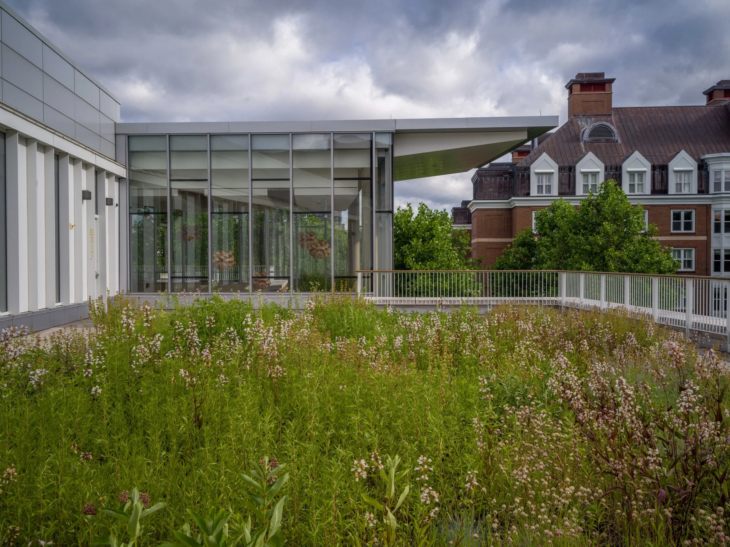 2026_06_14(Roof2)-14.jpg