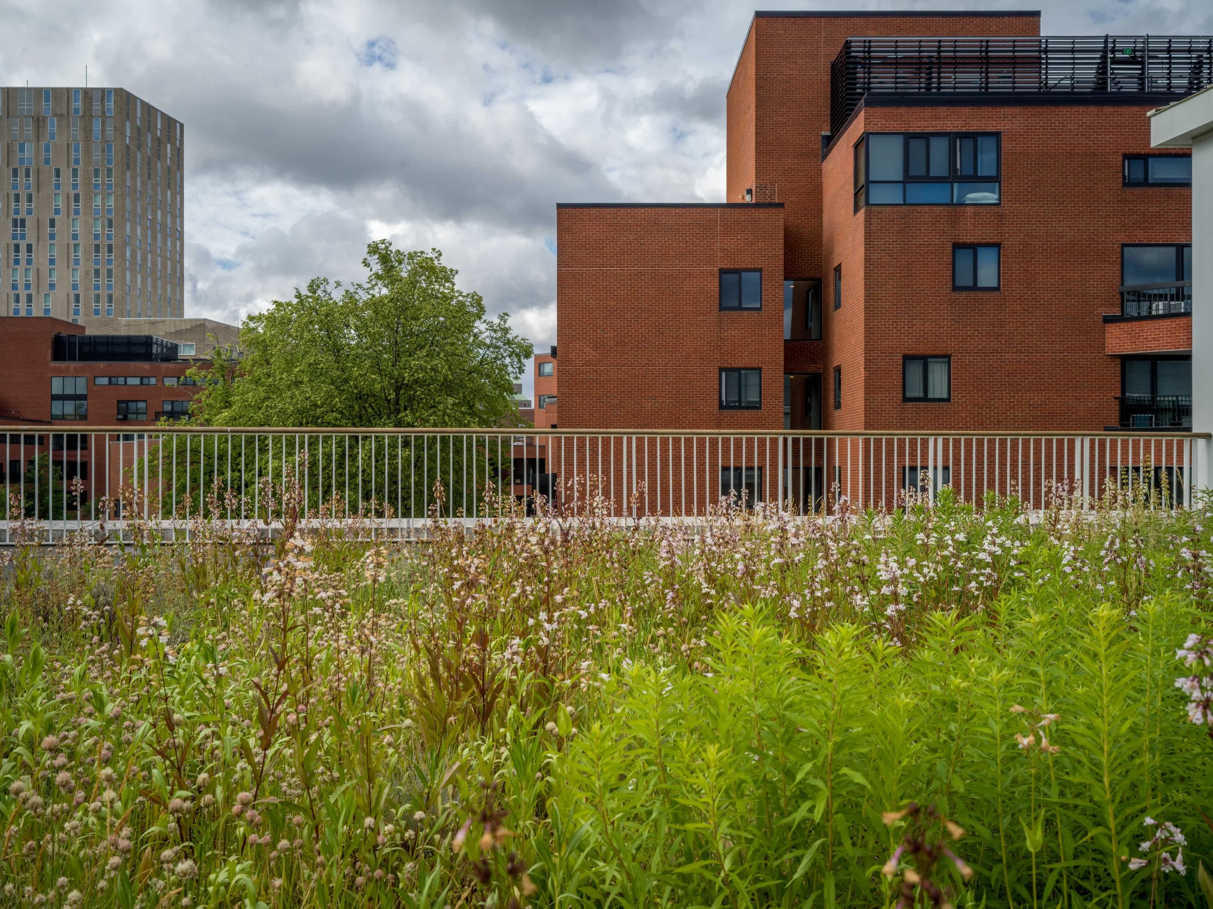 2026_06_14(Roof2)-9.jpg