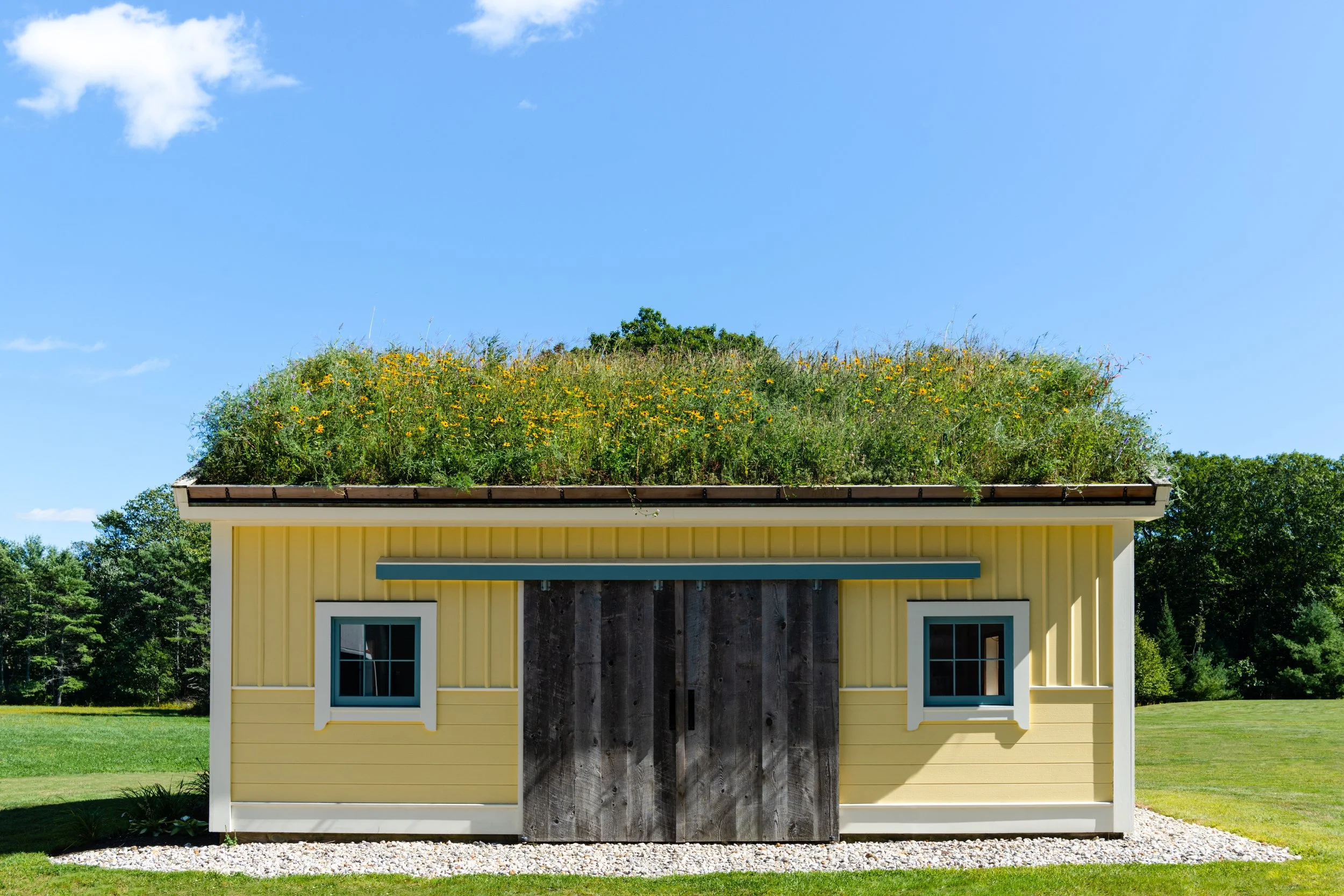 DSP-Turf-Roof-012.jpg