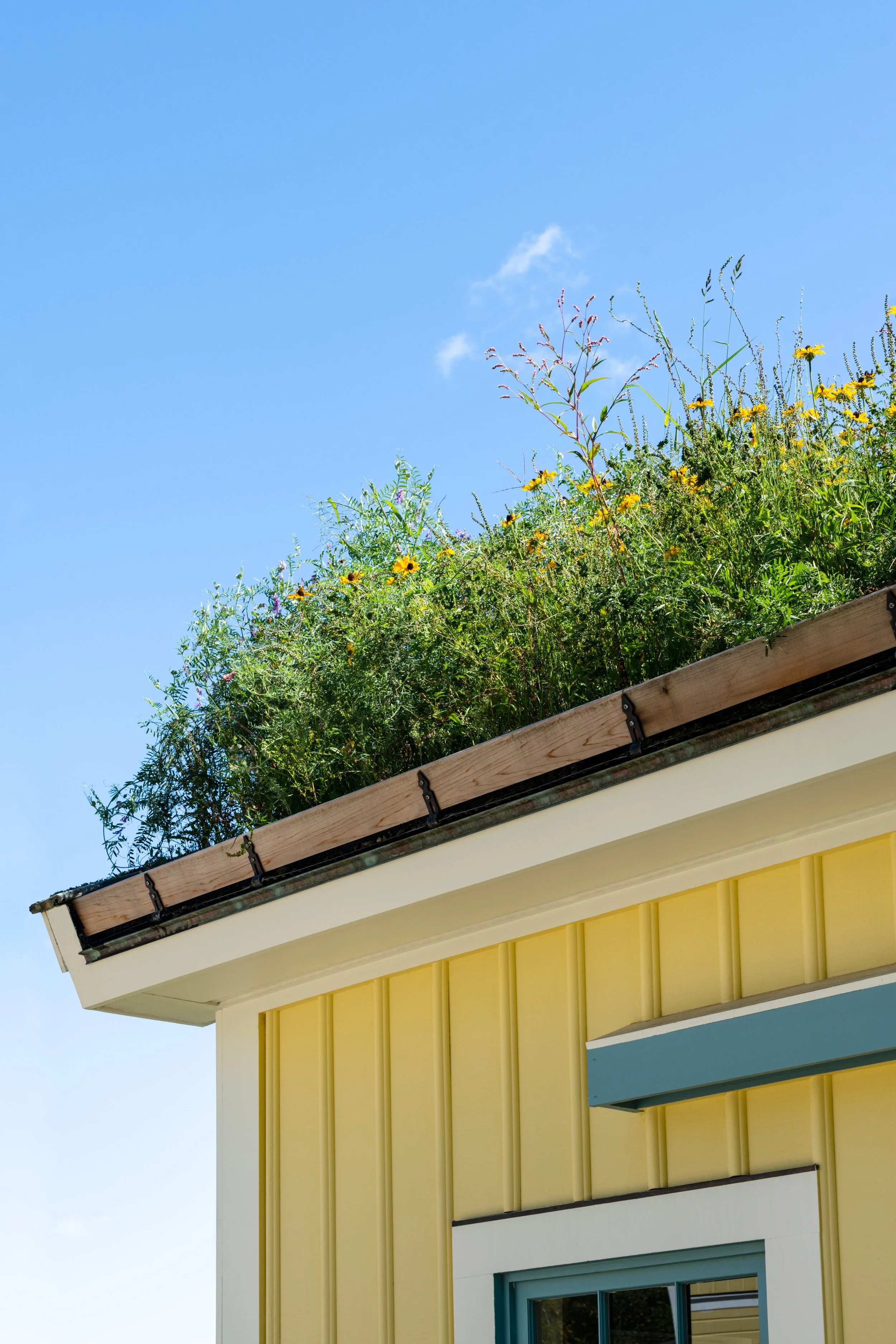 DSP-Turf-Roof-014.jpg