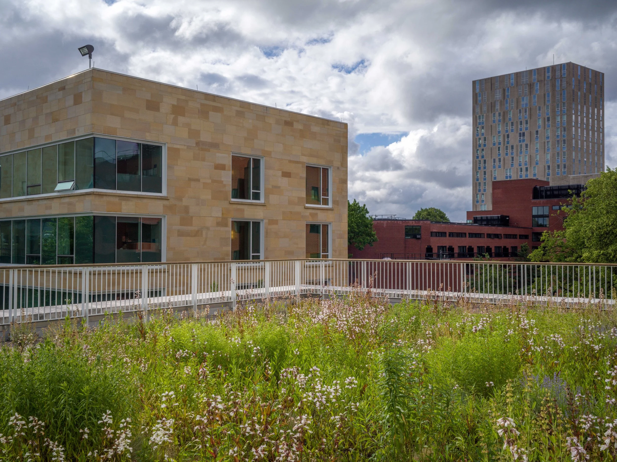 2026_06_14(Roof2)-10.jpg