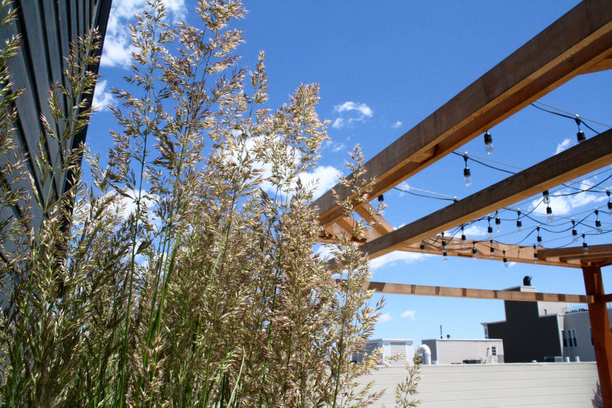 recover-green-roofs-rooftop-patio-east-boston-2015-27.jpg