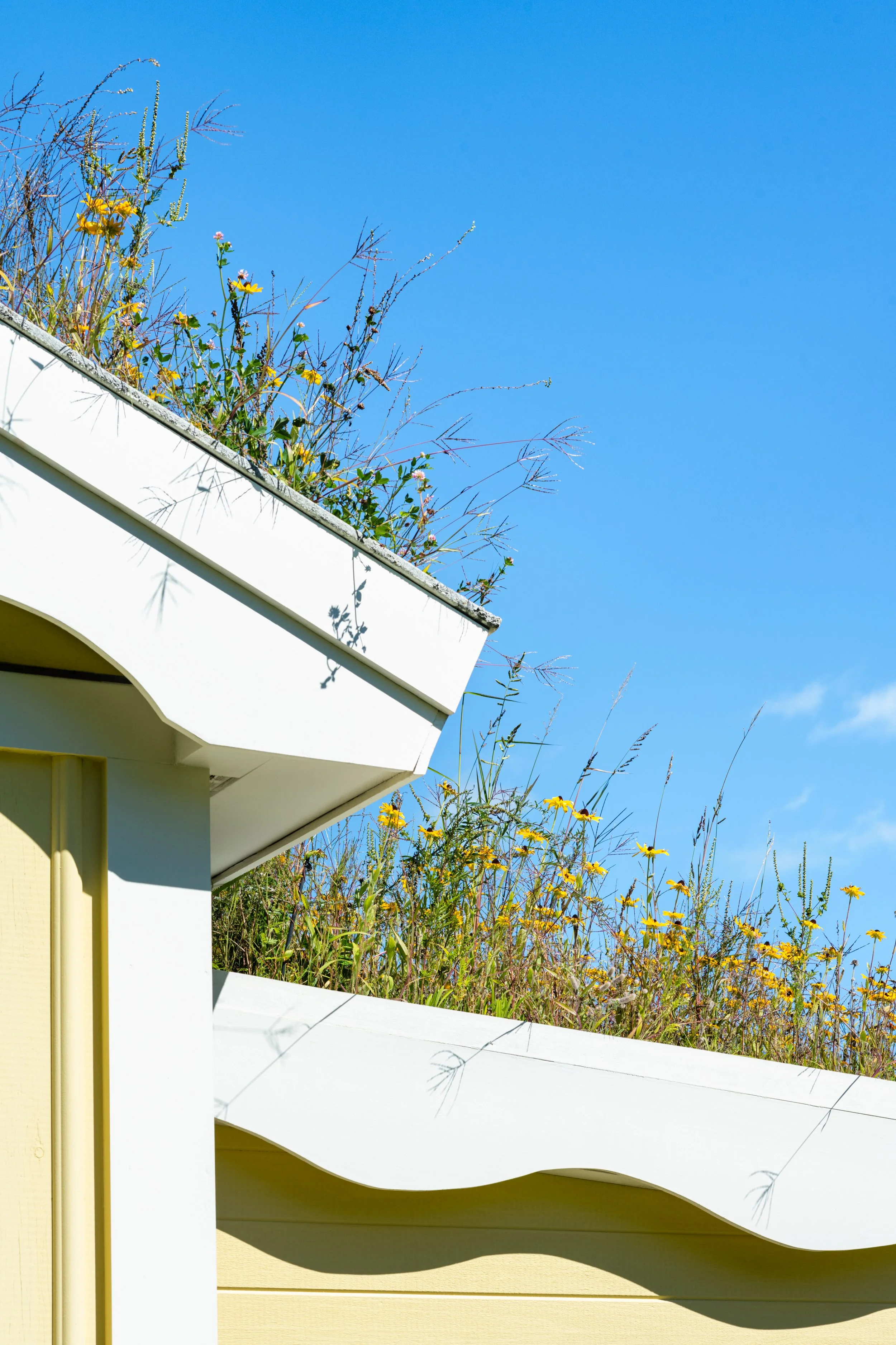 DSP-Turf-Roof-008.jpg