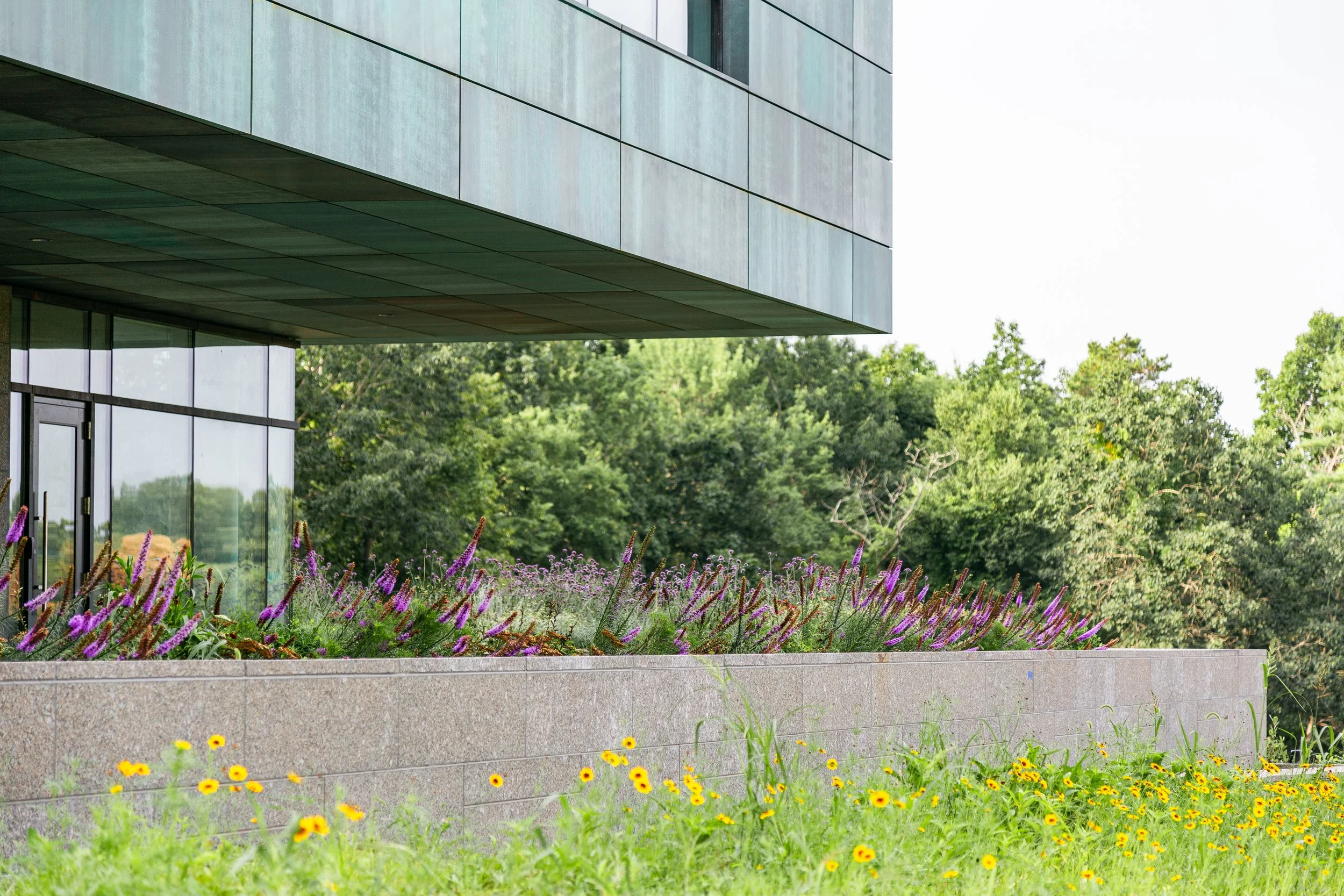 Building overhang with planters and flowers