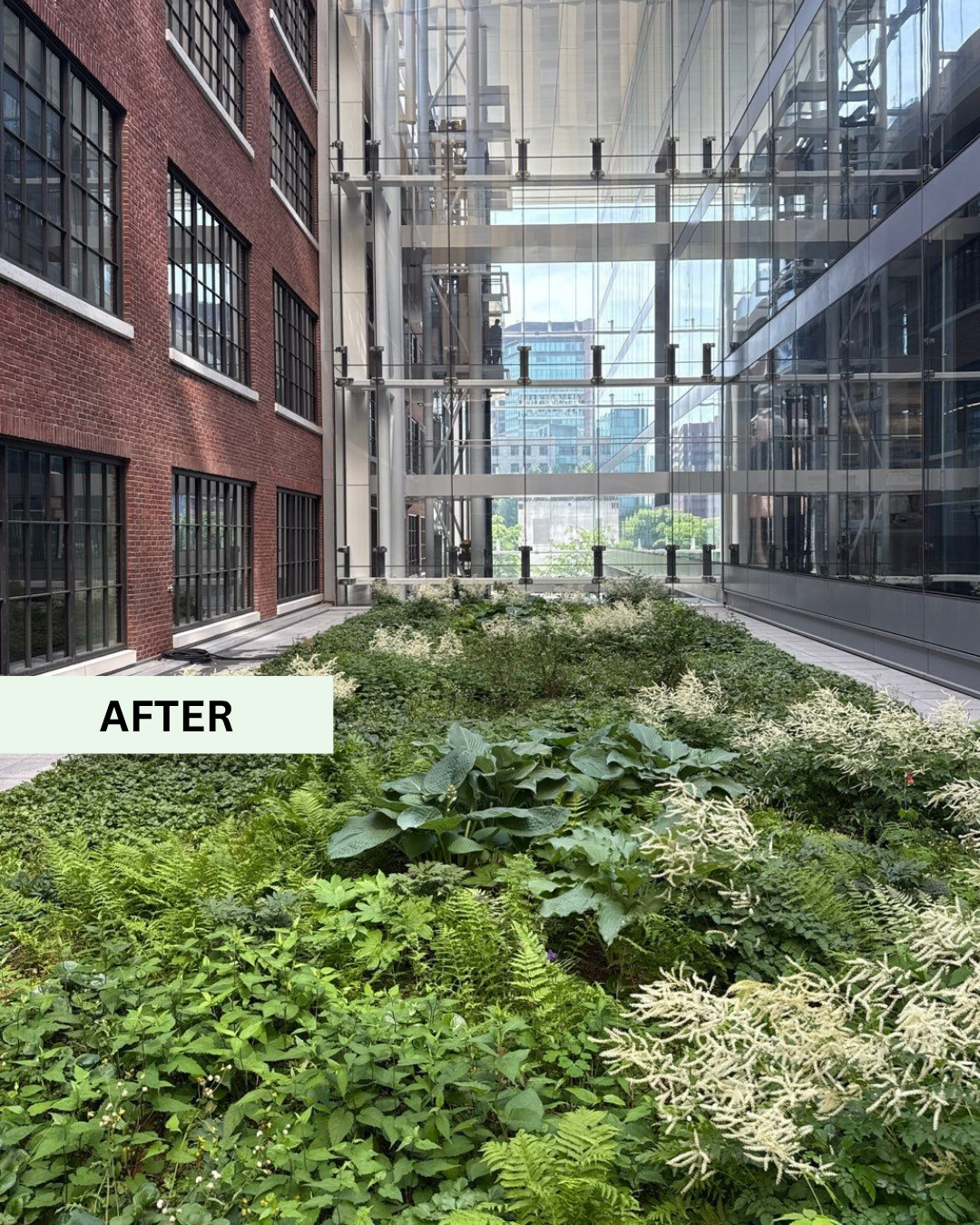 238 MAIN BEFORE (2).png