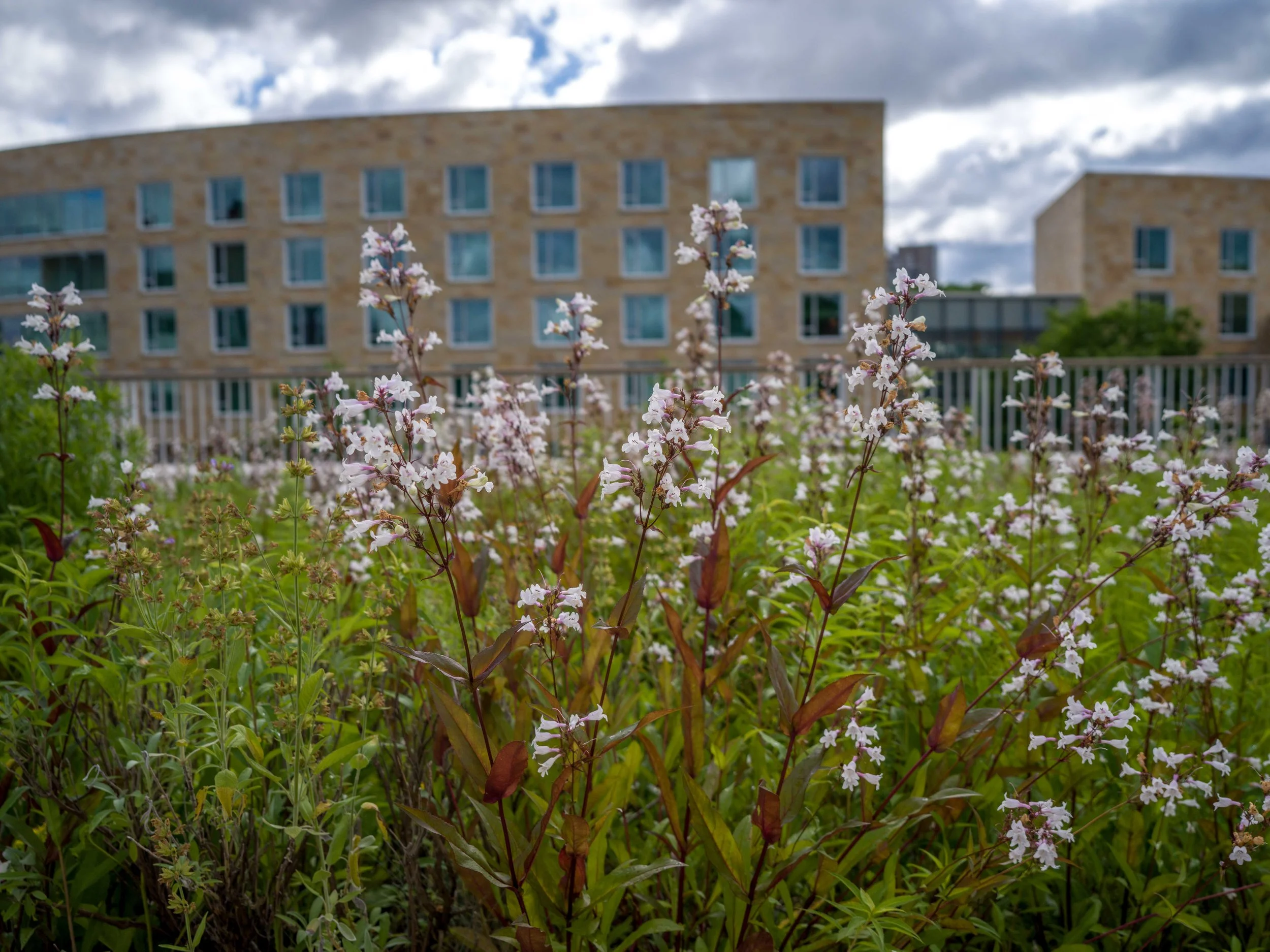 2026_06_14(Roof2)-13.jpg