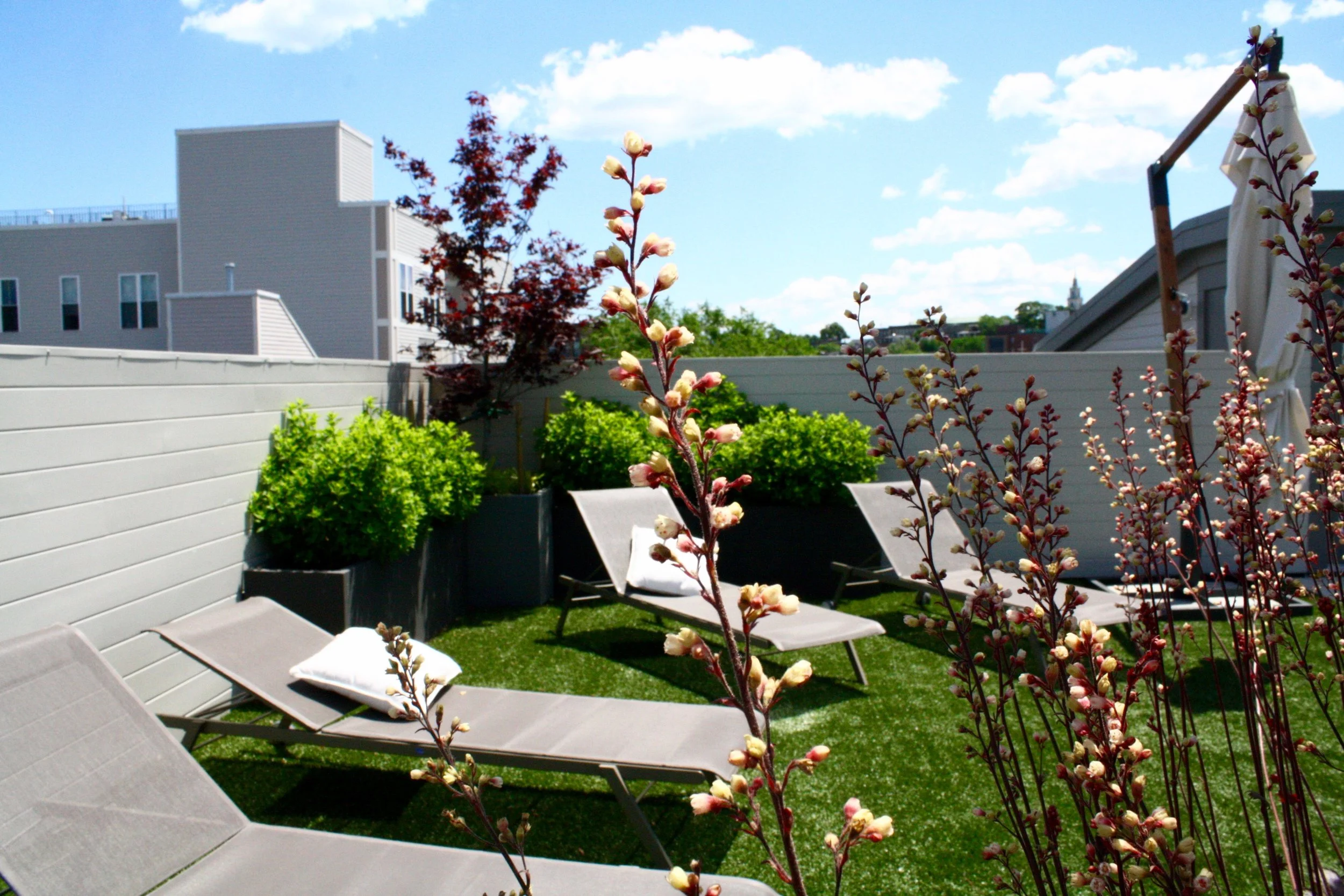 recover-green-roofs-rooftop-patio-east-boston-2015-16.jpg