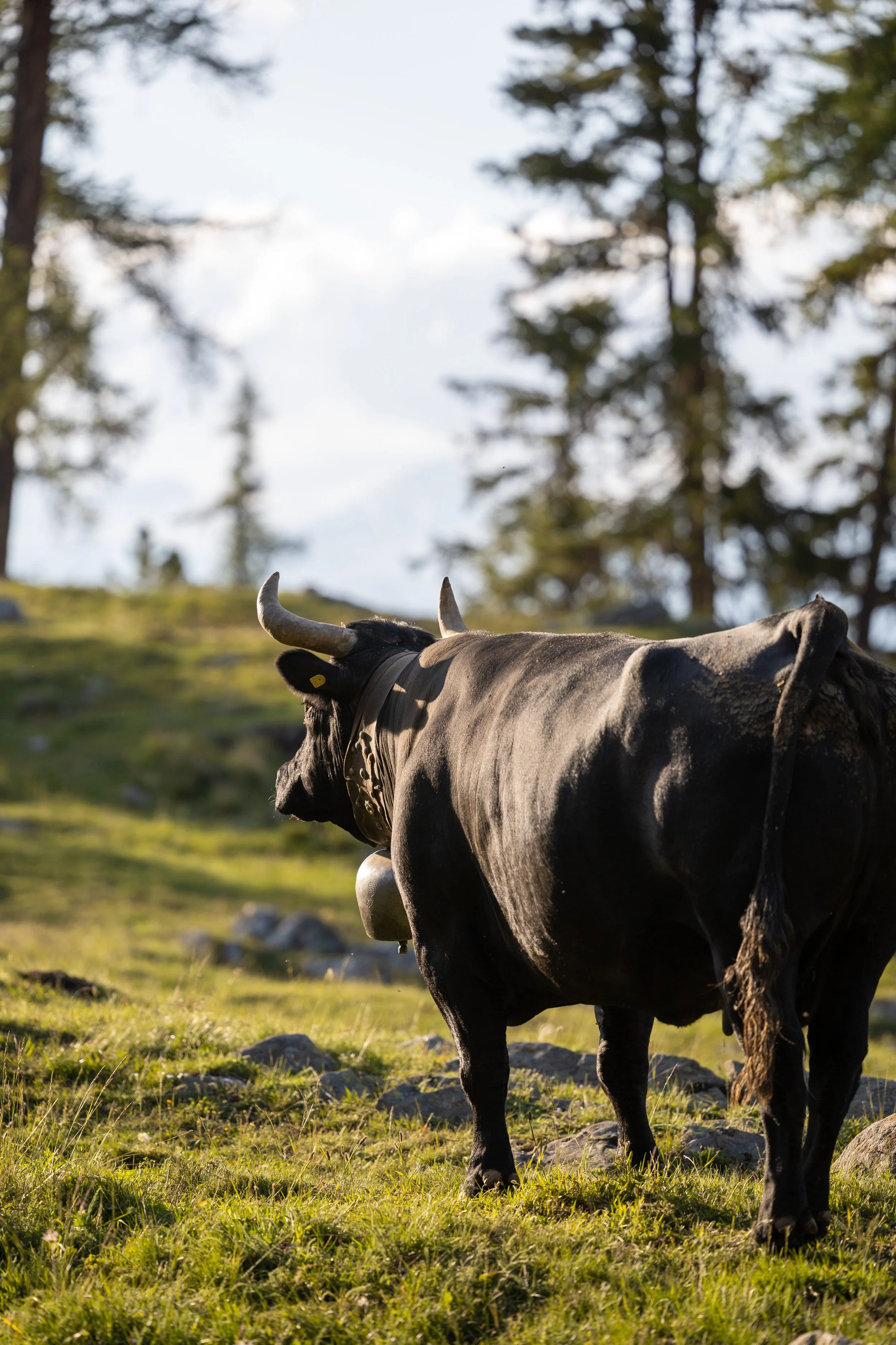Griebelalp 2023_044.JPG