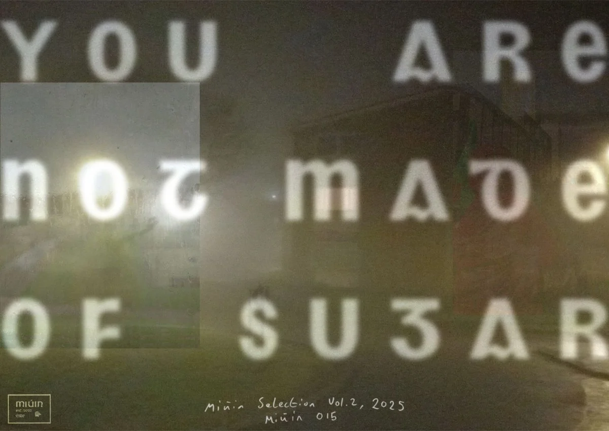 You Are Not Made Of Sugar - Miúin Selection Vol. 2, 2025 (2025)