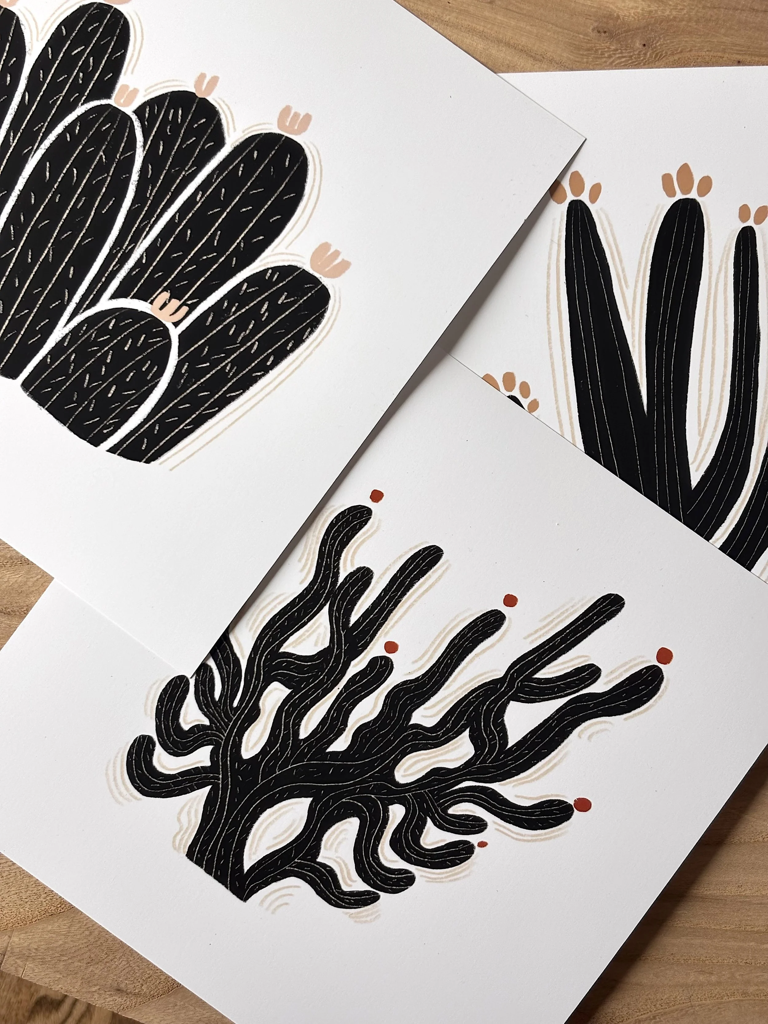 Desert Dwellers: Set of 3 Art Prints| 9x9