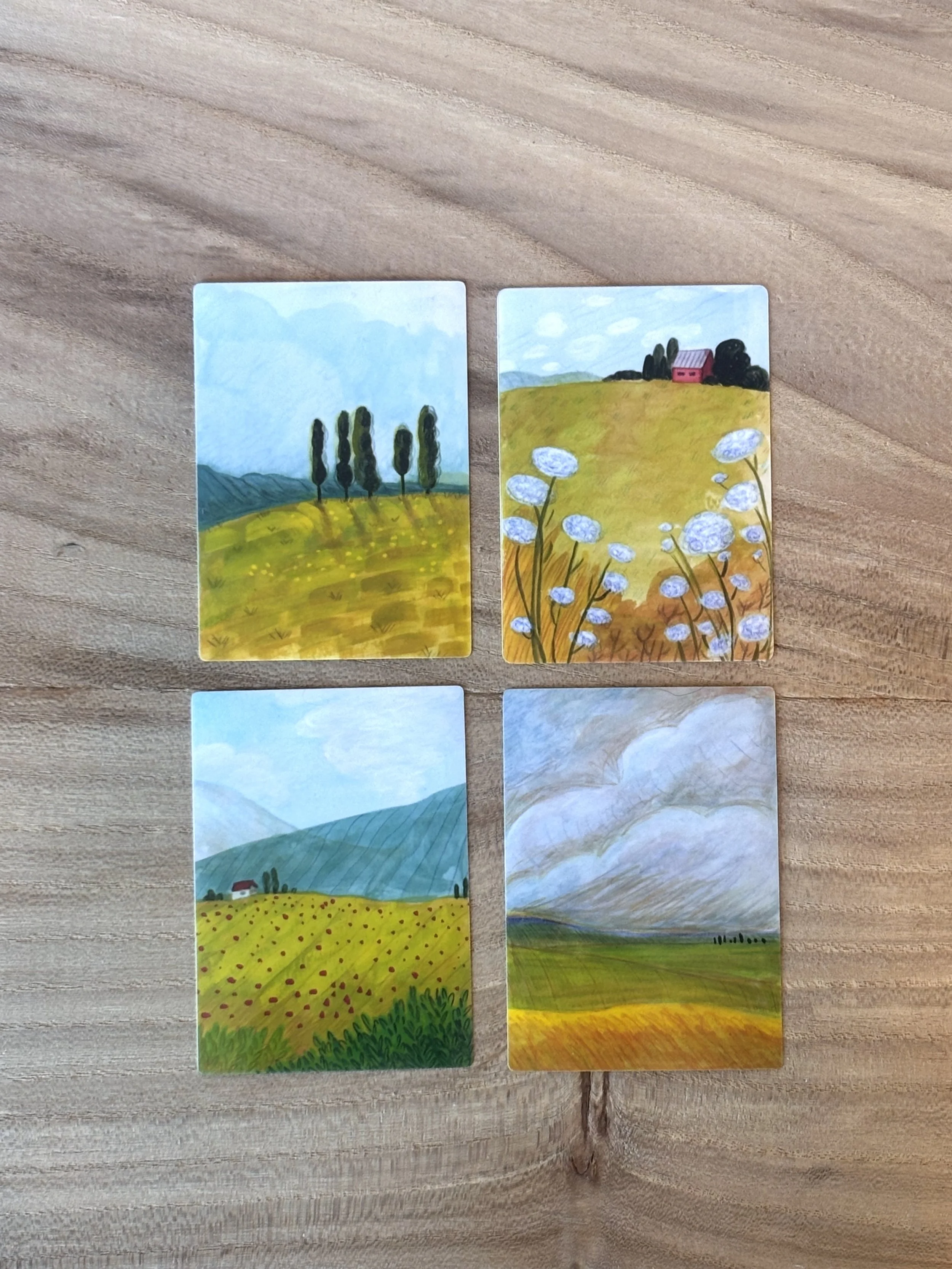 Meadow Stickers_Group.jpg