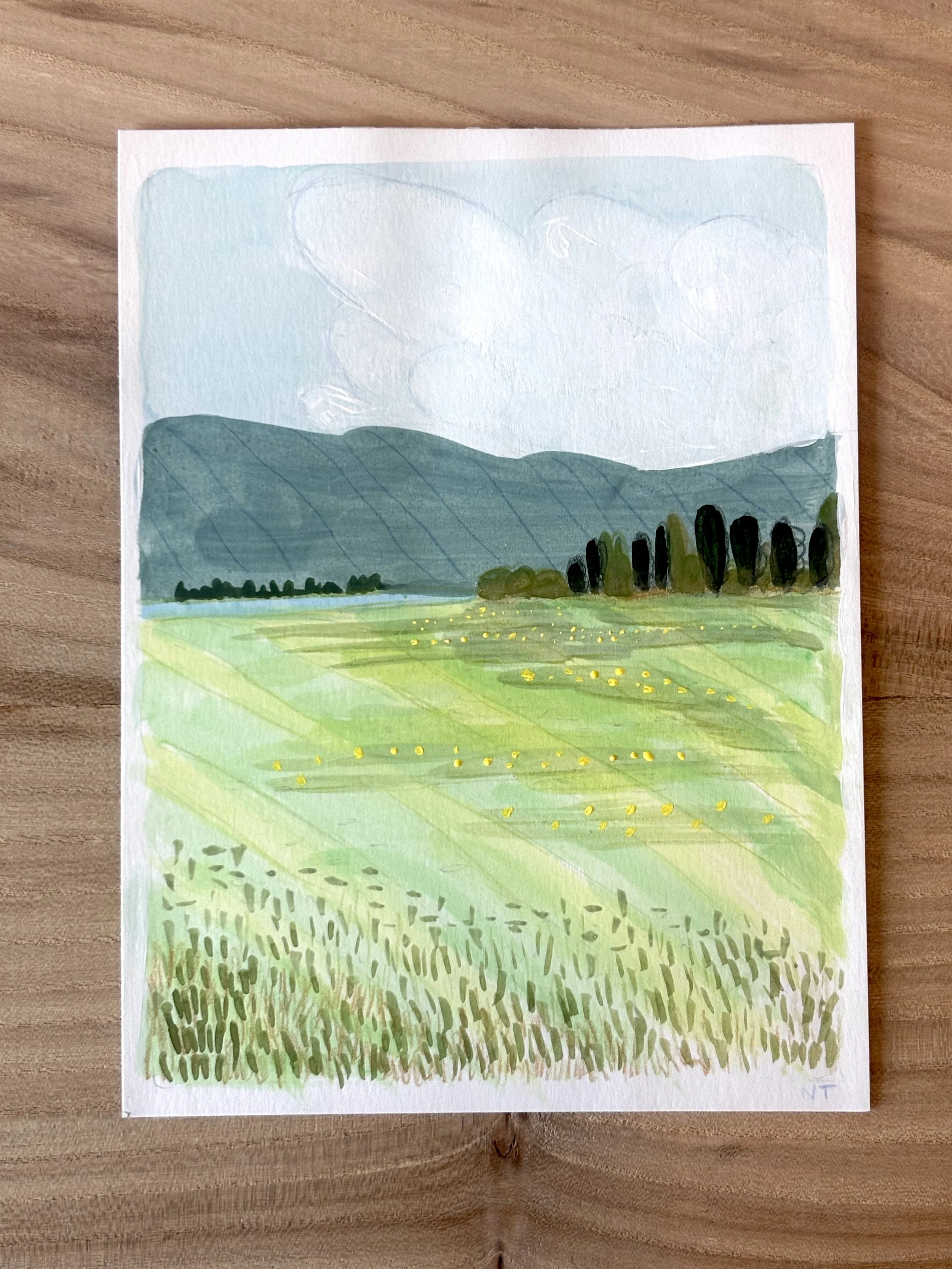 Early Summer Meadow 6" x 8" Original Painting