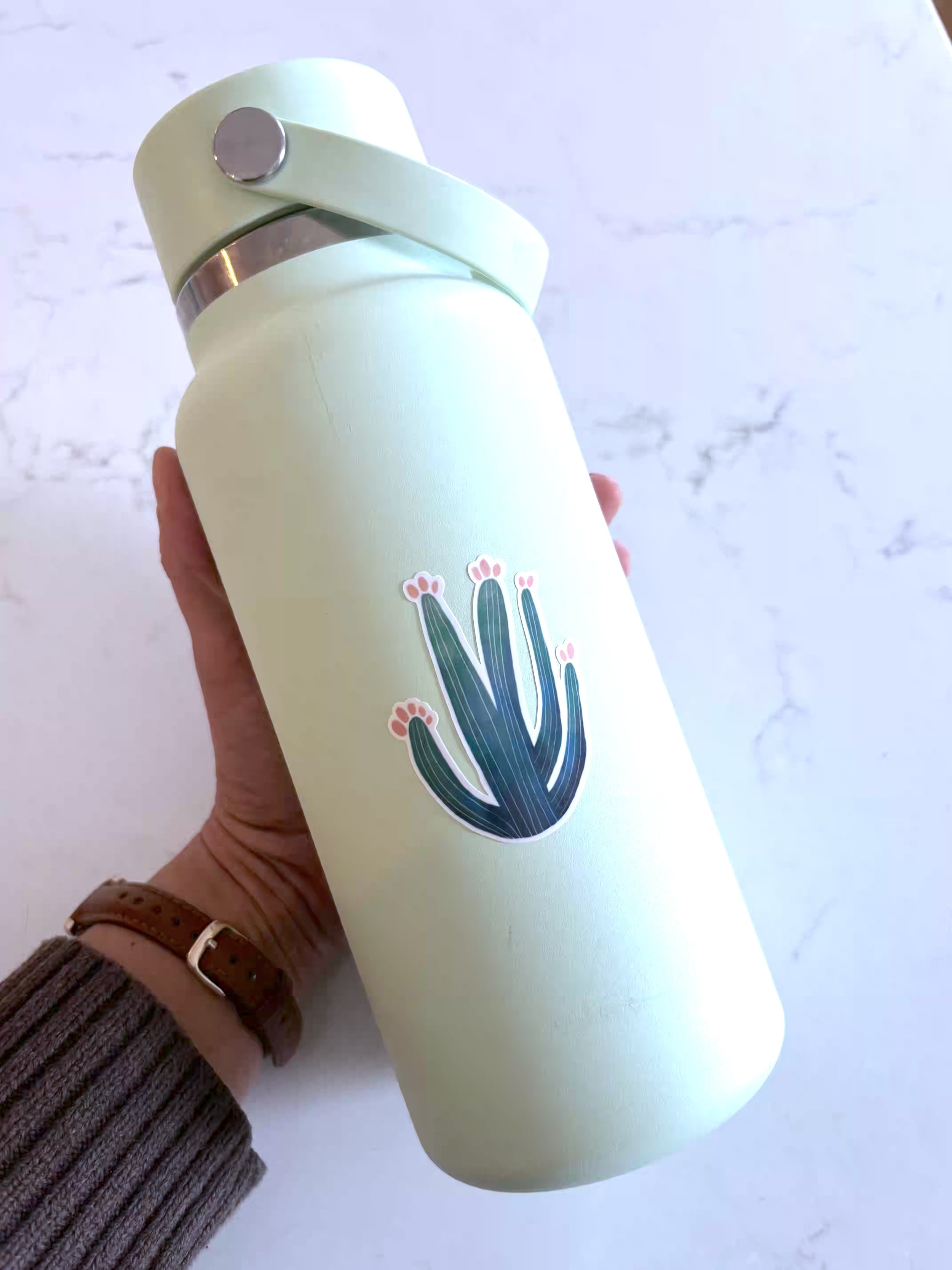 Natalie Touchberry Desert Dwellers succulent sticker sheet on water bottle