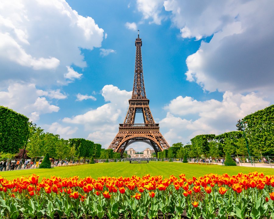 NSEA_Eiffel-Tower_Lawn.jpg