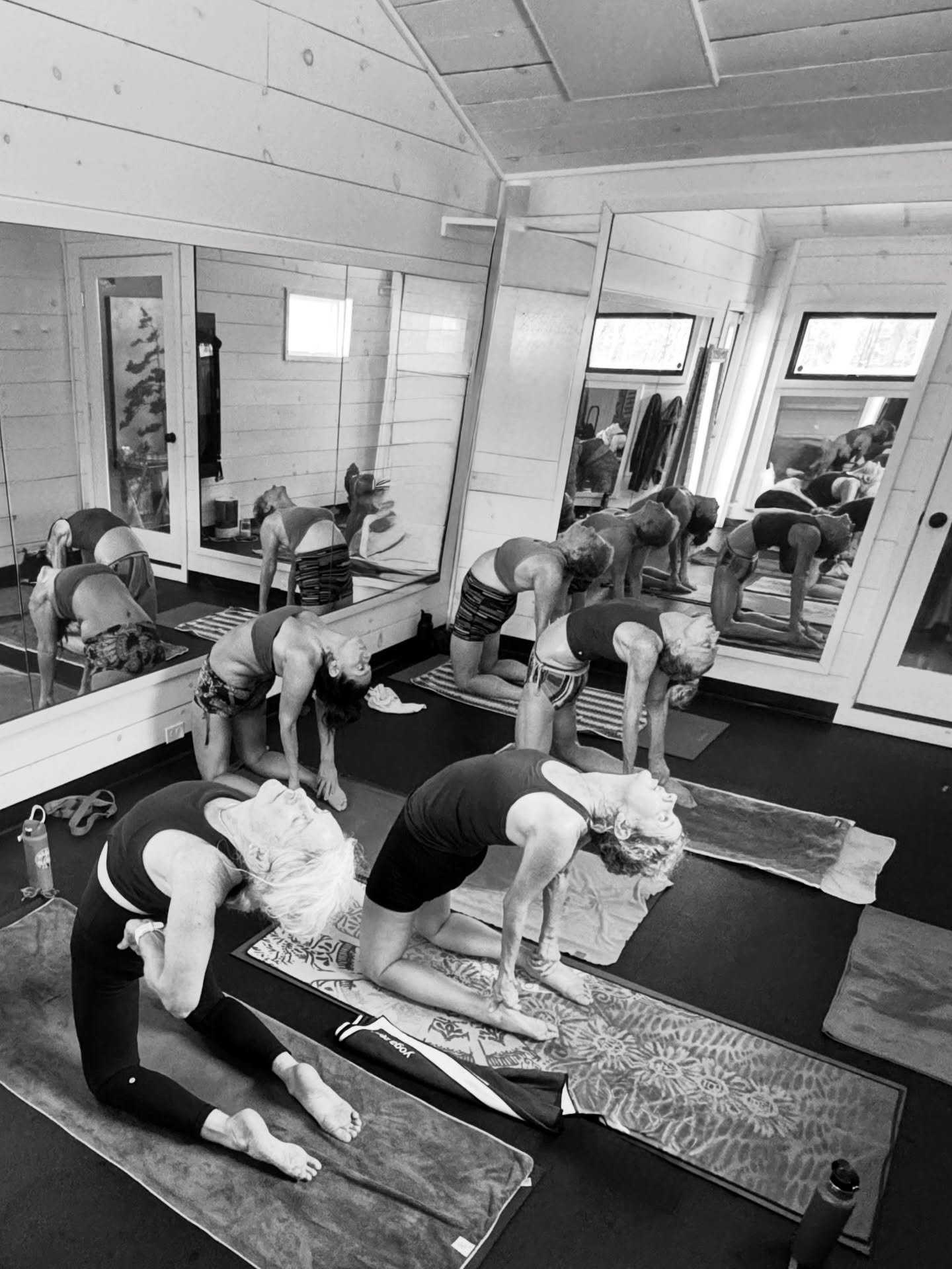 Here through the Holidaze ⛄️🕊️💝