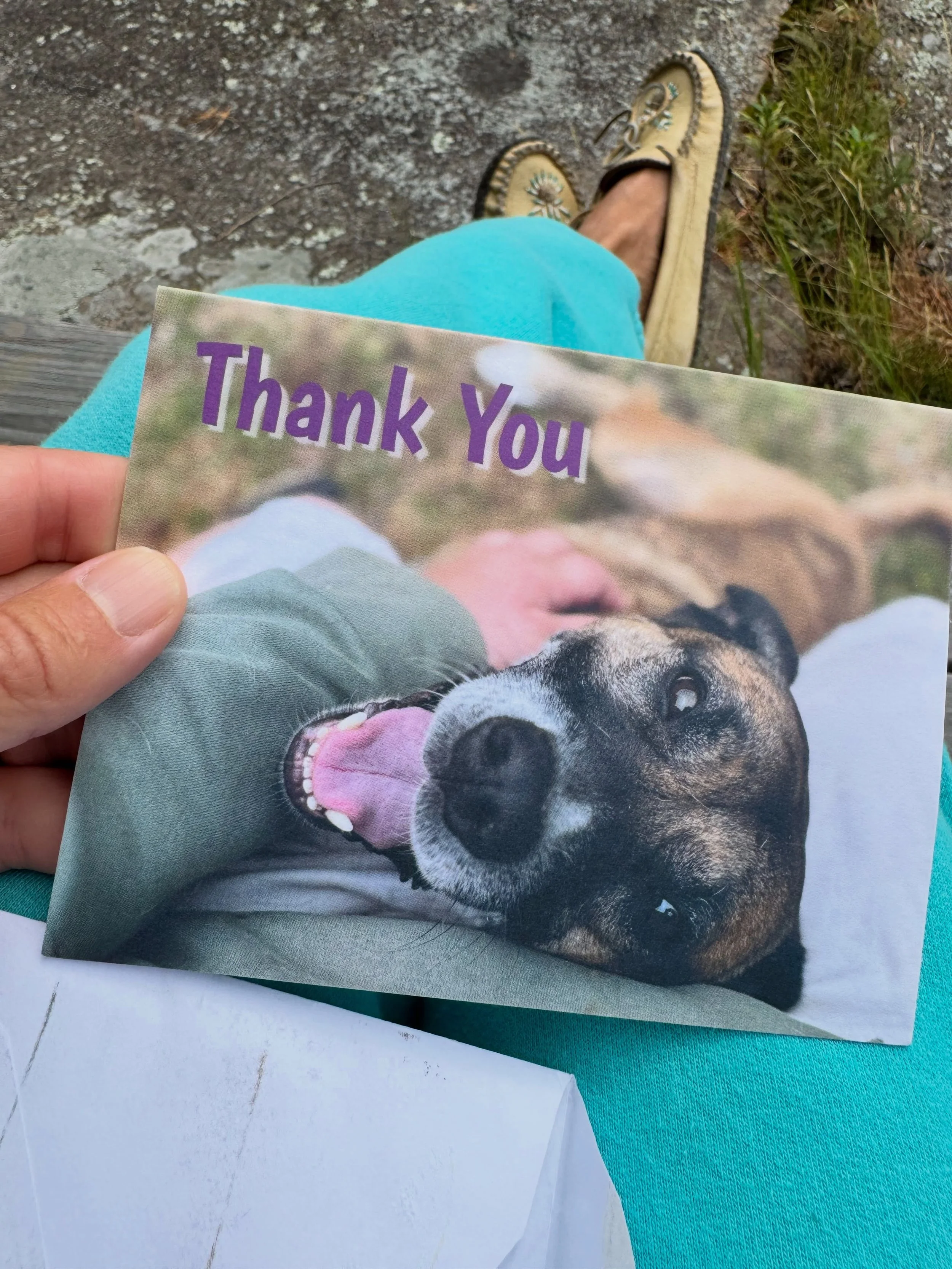 to give is to receive 🌱💕💫 
.
..
&hellip;
..
.
#itsallyoga #ittakesavillage #uppervalleyvtnh #hanovernh #humanesociety