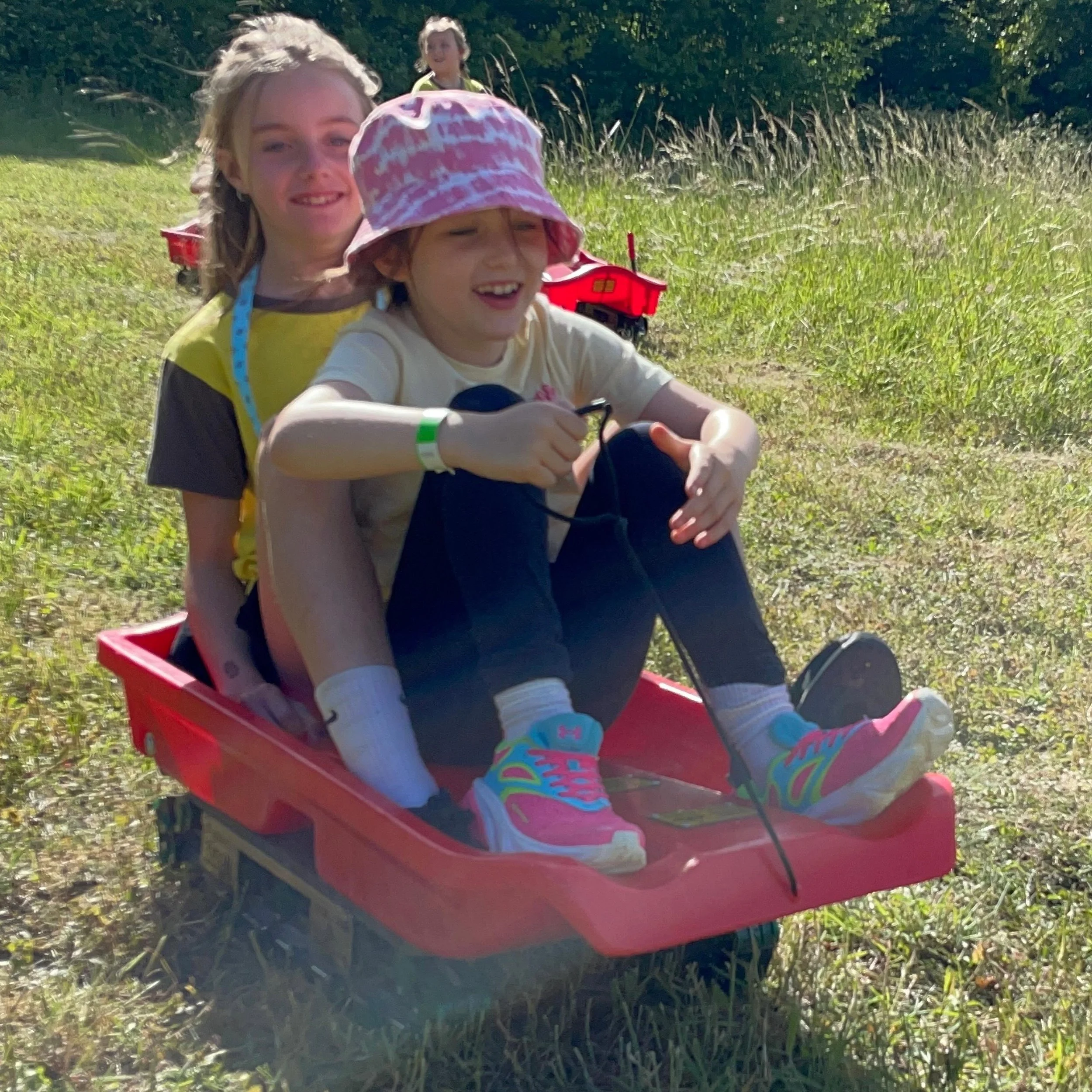 grasssledging1.jpg