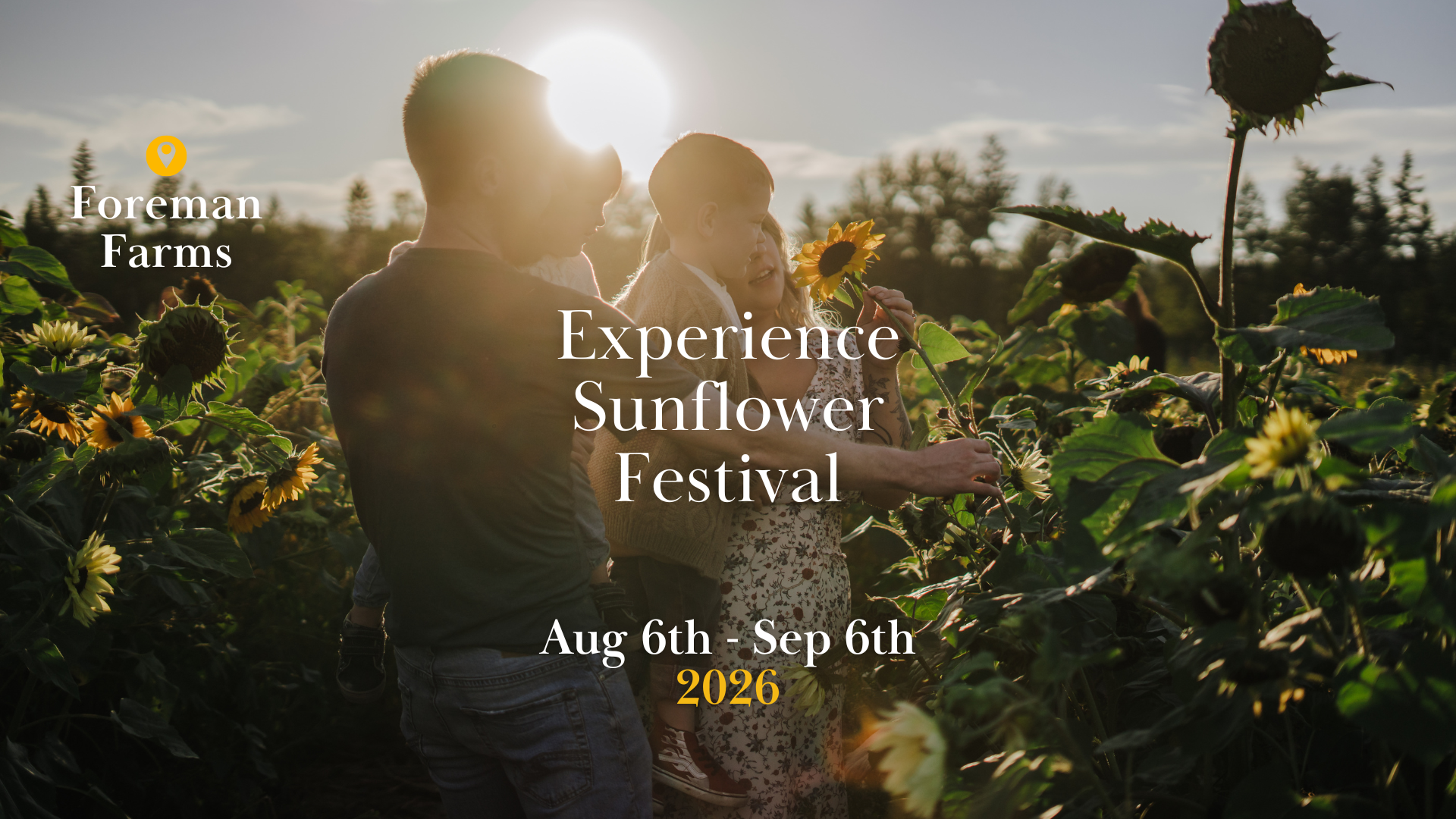 Sunflower Festival 2026