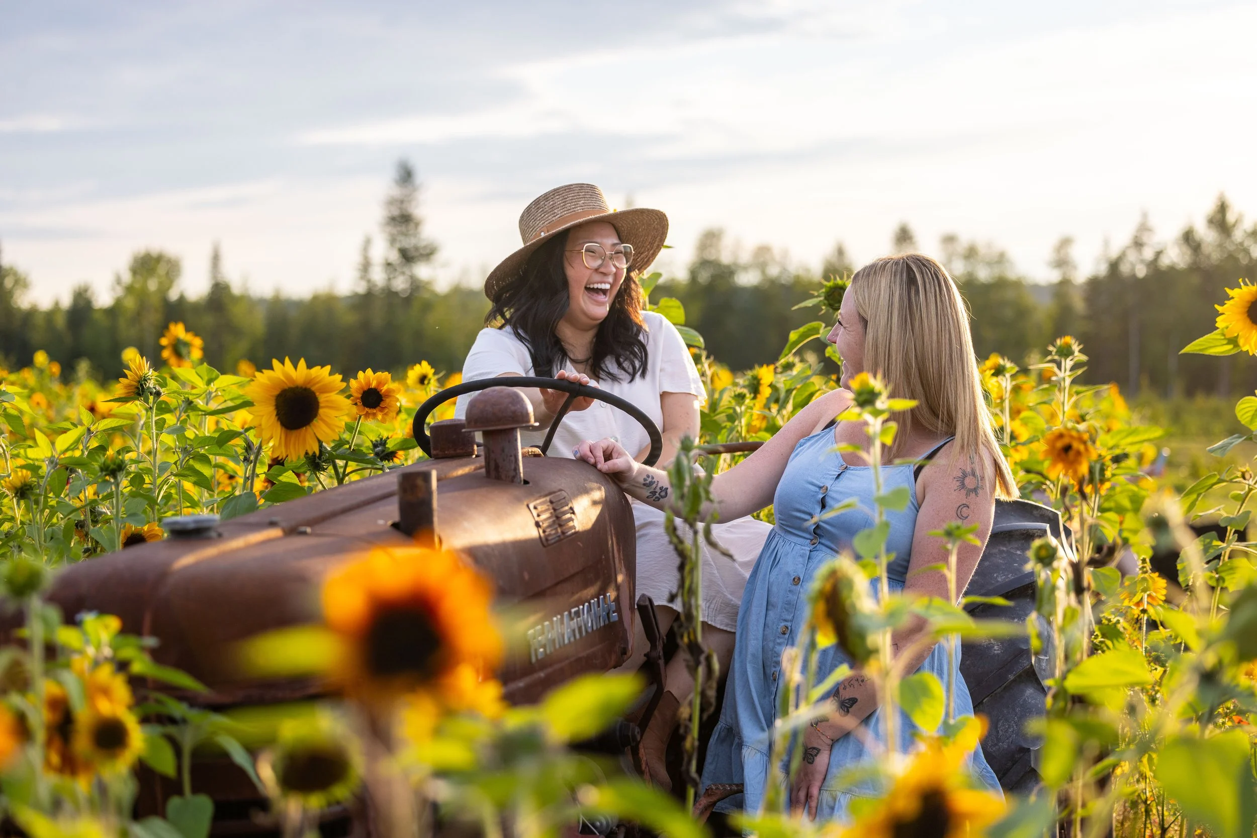 Sunflower Festival
