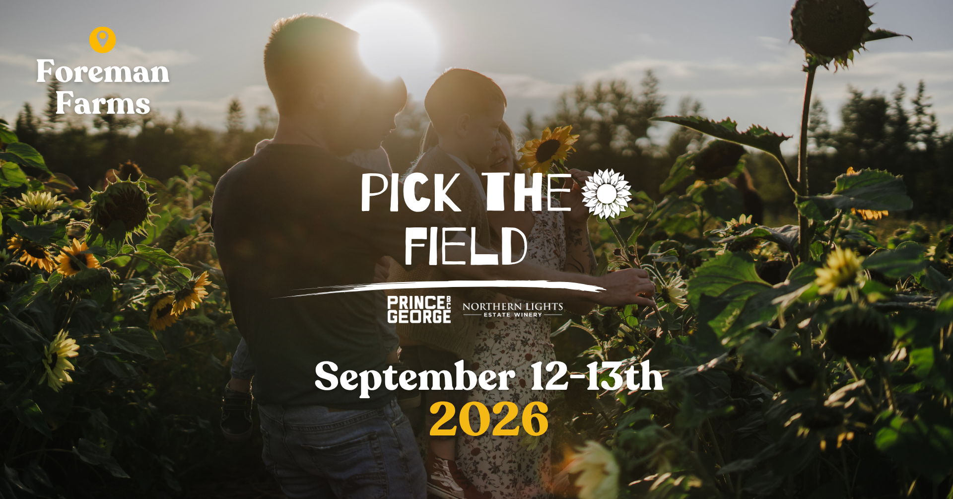 Sunflower 2025 (8).png