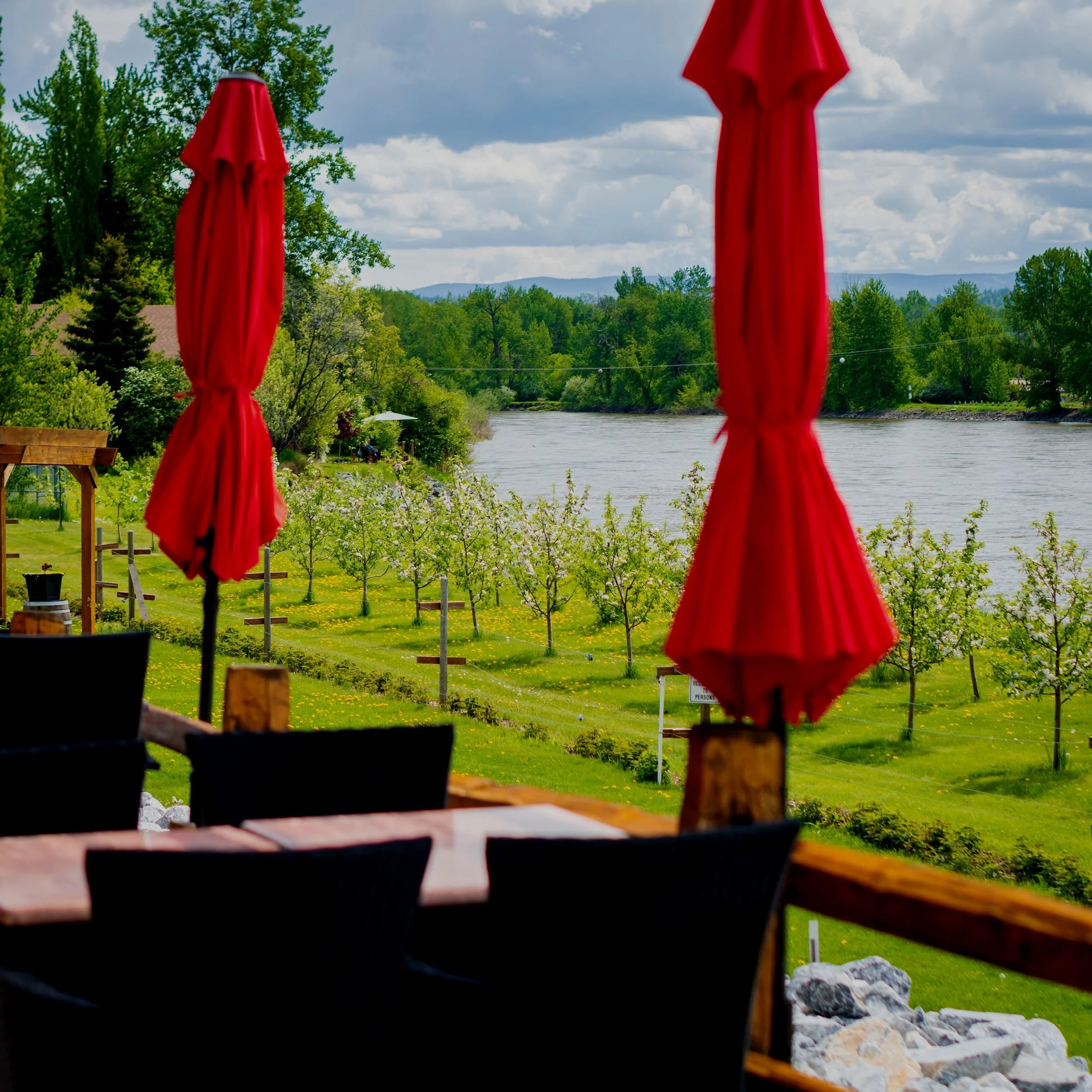 RiverHouse Restaurant — Northern Lights Winery