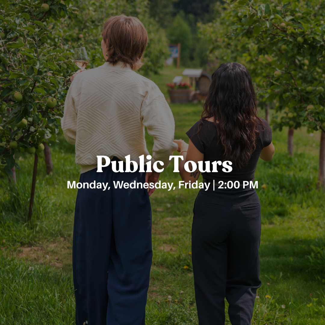 Website events (1).png