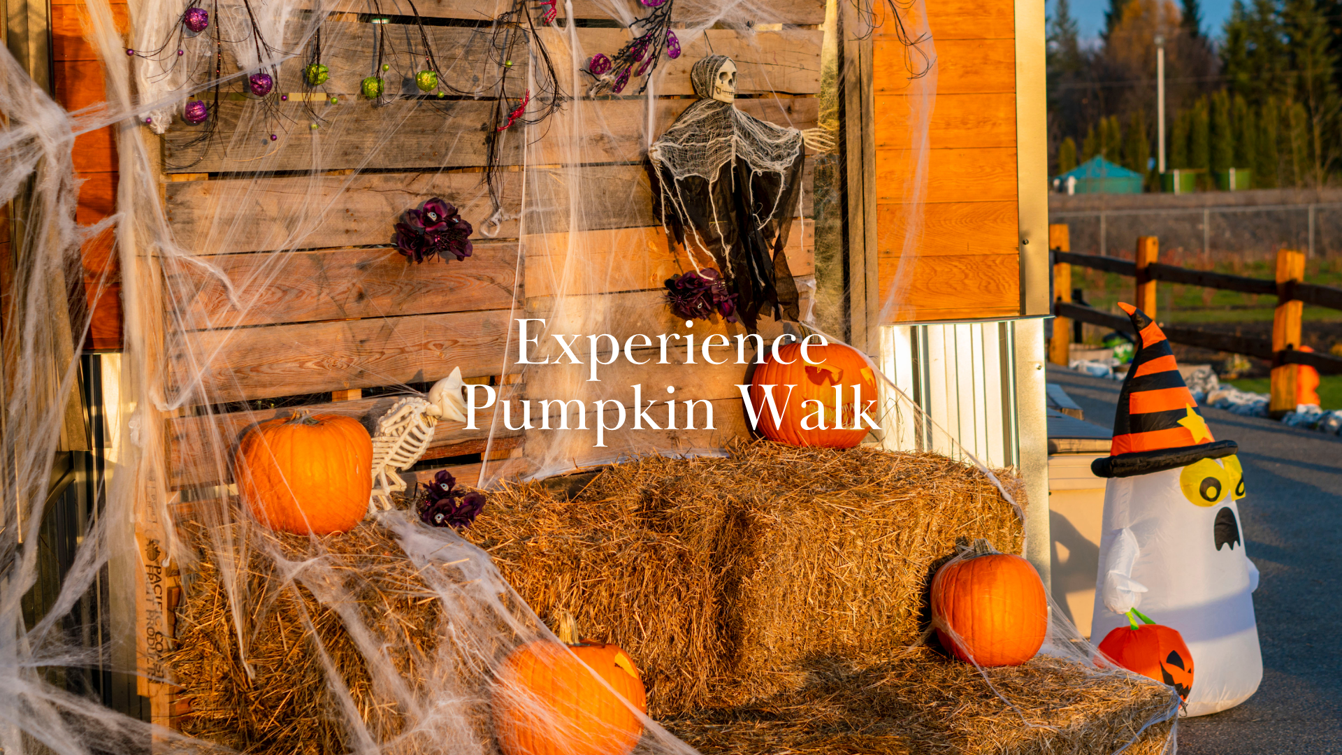 Website Header (1).png