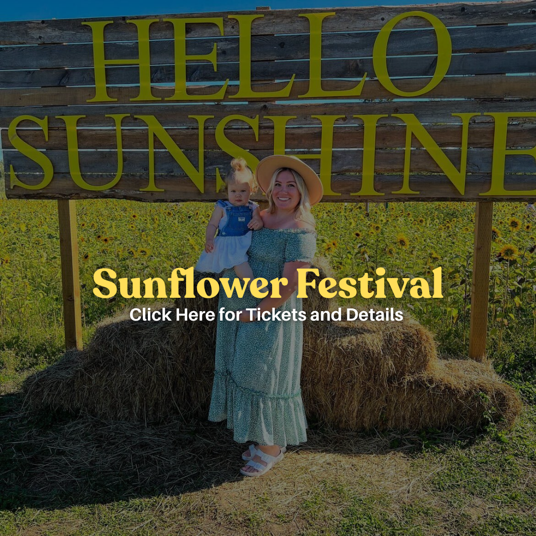 Website events (1).png