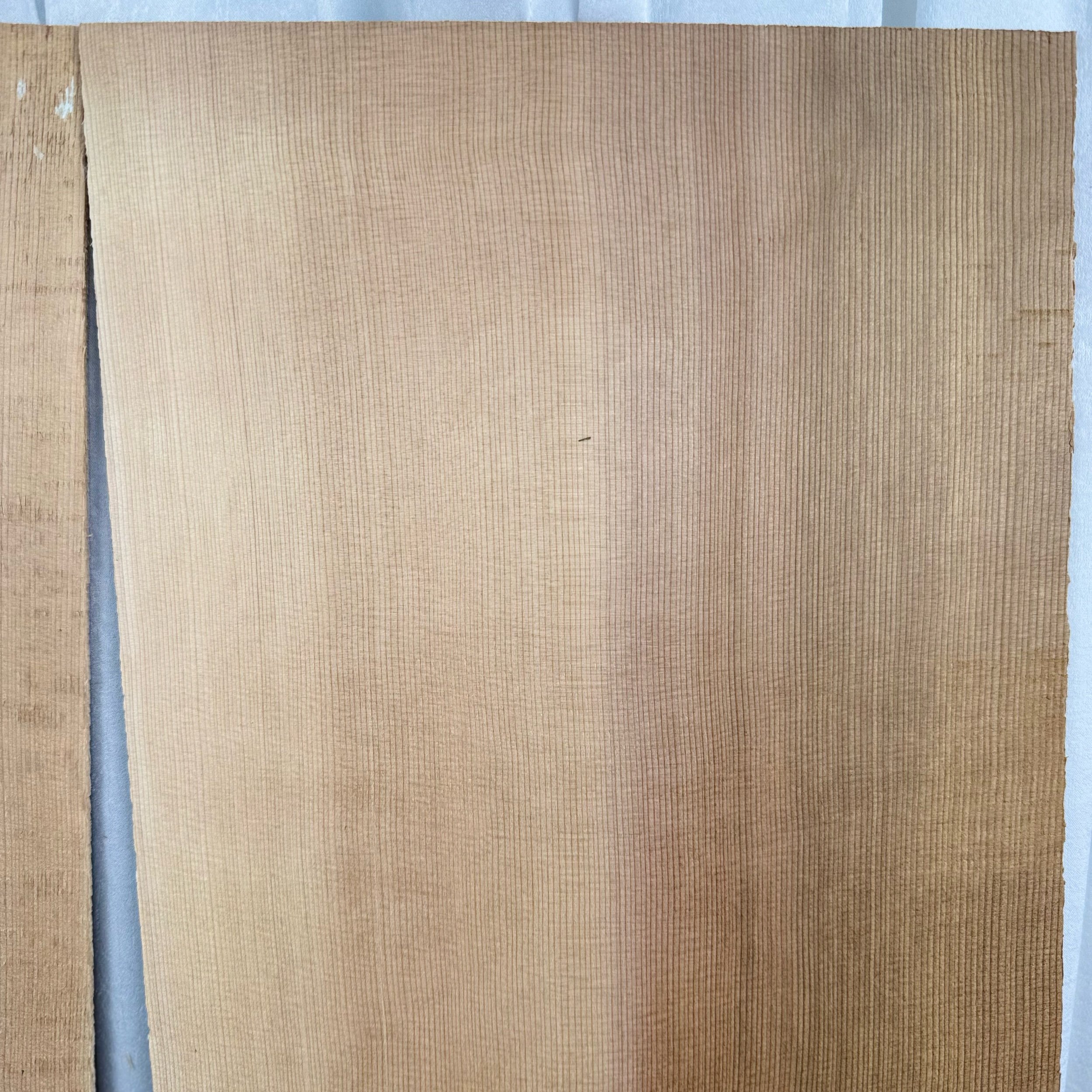 Western Red Cedar - Cream - Dreadnought