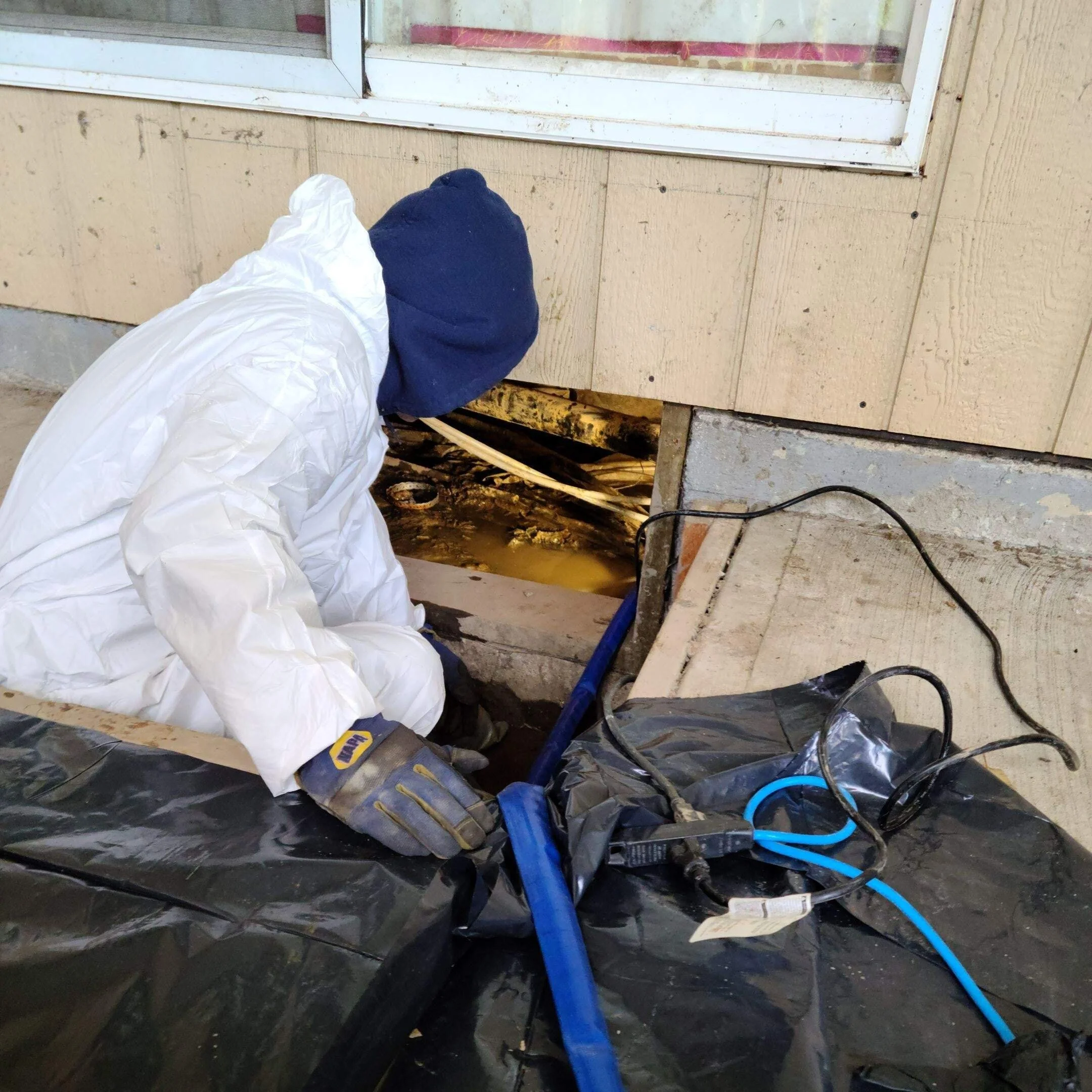 Bio-hazard Cleaning