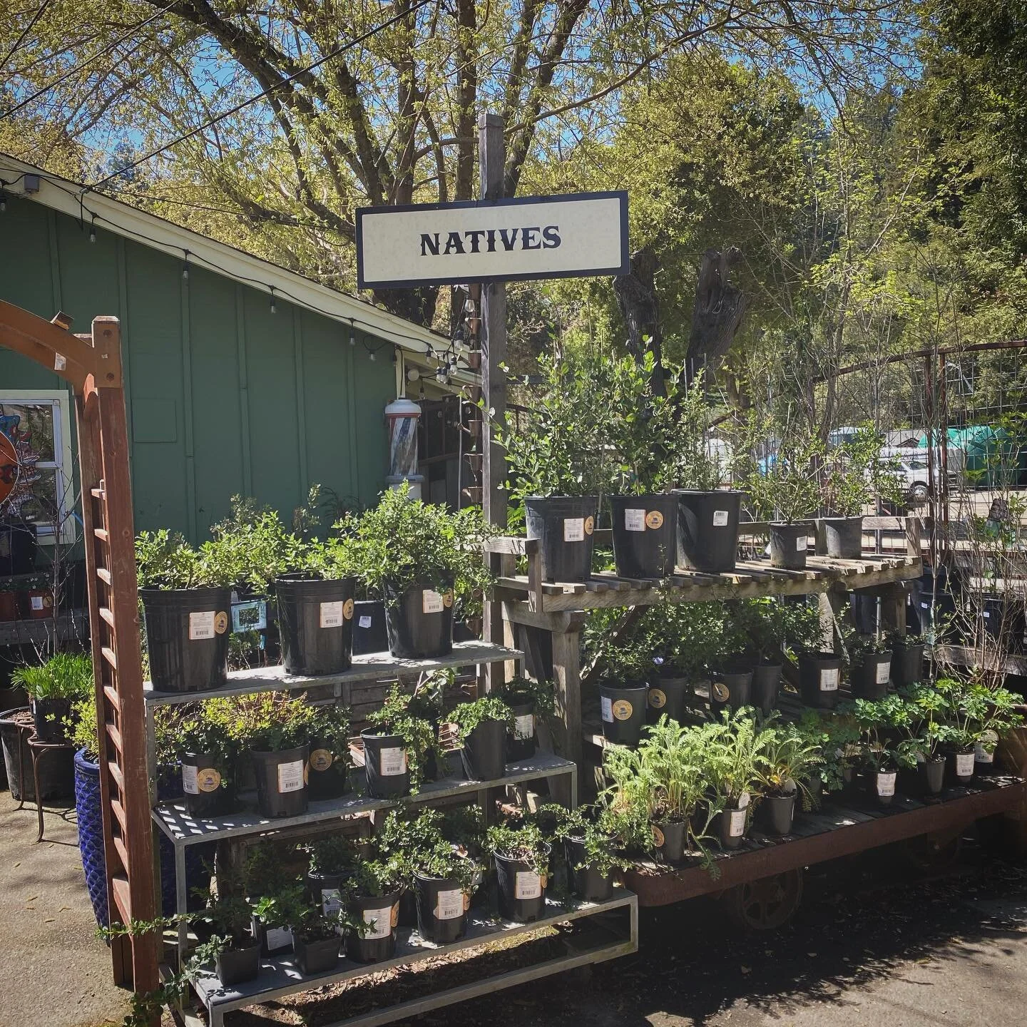 Mountain Feed and Farm Supply, Ben Lomond, CA