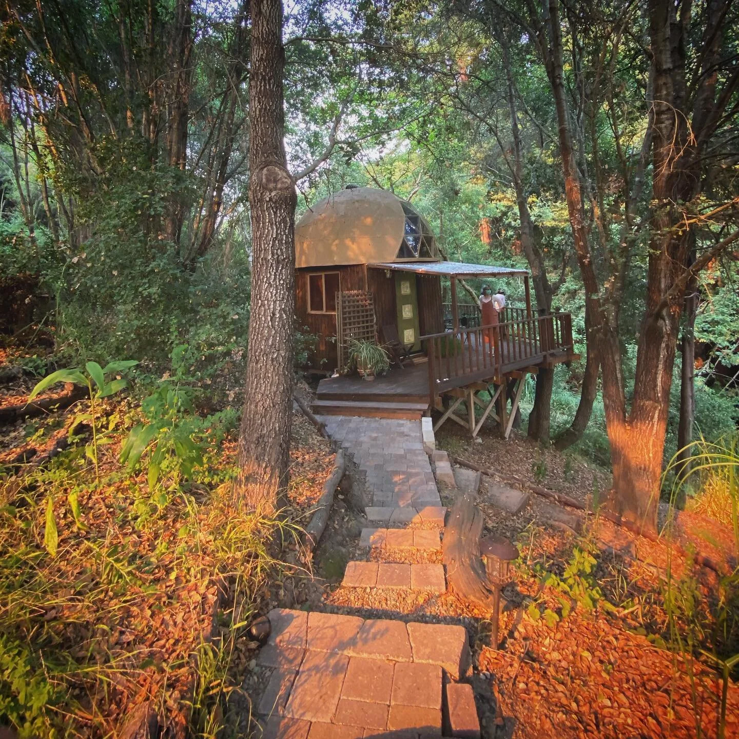 The Mushroom Dome, Aptos, CA