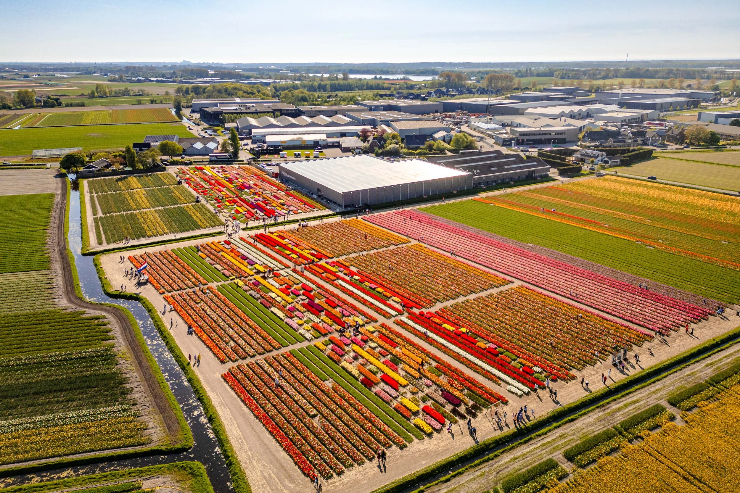 Tulpenvelden fotograferen: de mooiste locaties