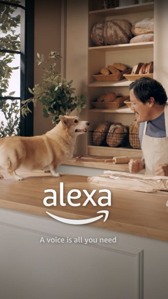 Amazon Alexa Puppy Cam