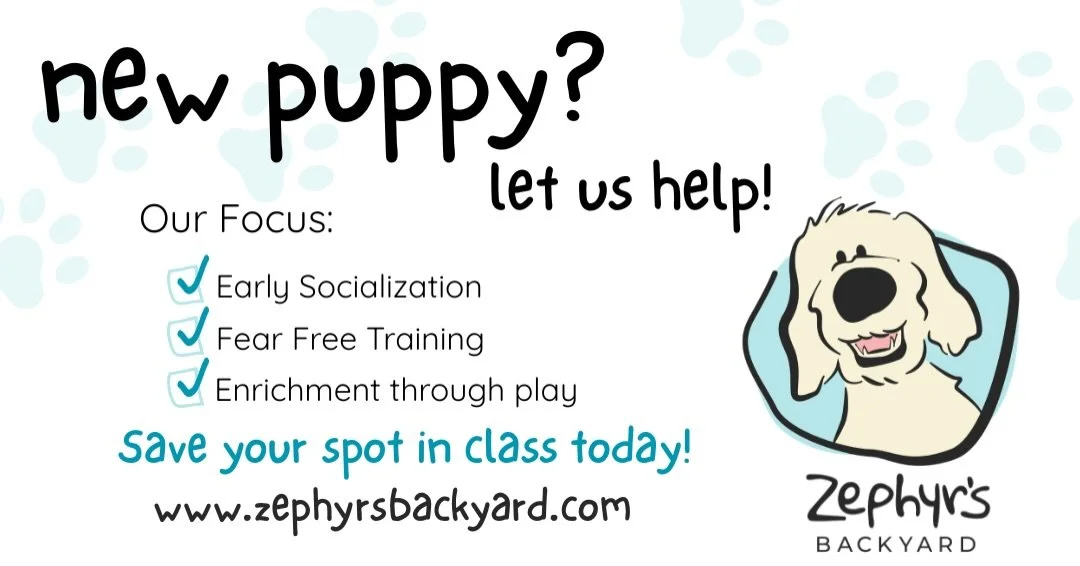Cue the zoomies!

It&rsquo;s official! Puppy Preschool starts Saturday, April 18 at 9am.
This puppy socialization class focuses on safe socialization, positive reinforcement foundations, and buiding confident puppies.

Let&rsquo;s raise some great do