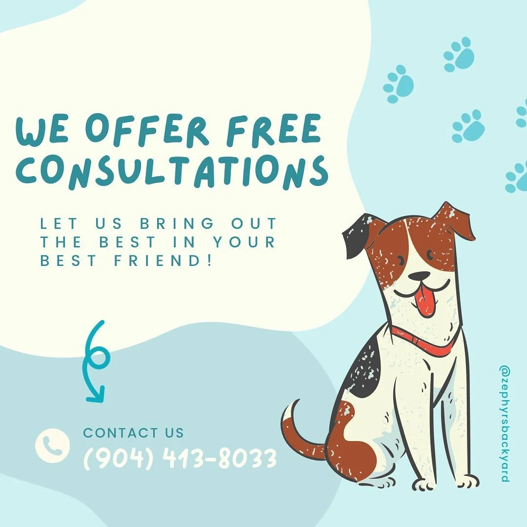During our free consultation visits, we take the time to get to know you and your dog. Every dog is different and so should their training! We create individualized training plans for each pup we meet to help you and your dog be successful.  #dogtrai