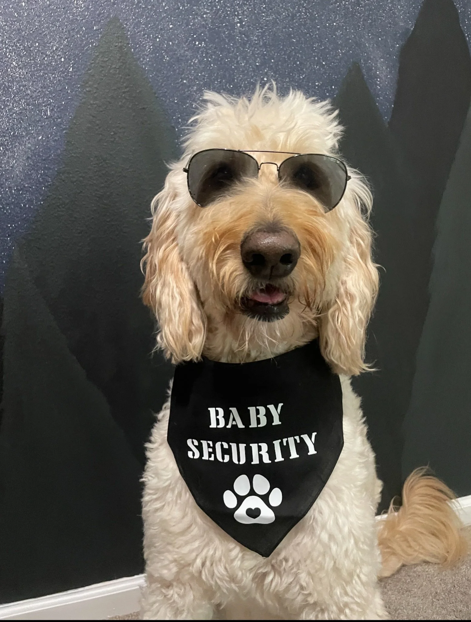 Preparing your dog for a new baby begins long before a baby arrives. Dogs do best with predictability and consistency. One of many jobs before baby arrives is to prepare your dog gradually for changes in routine and new boundaries.

With a new baby, 
