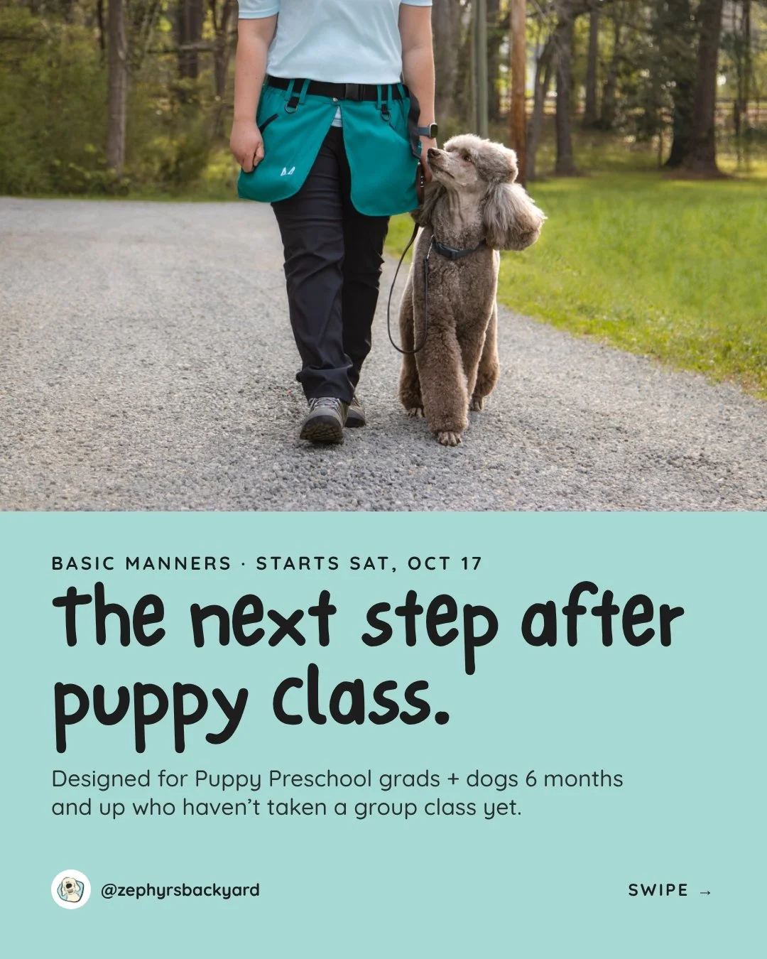 Finished puppy class? Or have an older pup who's never done a group class? This one's for you. 🎓

Basic Manners is the next step after Puppy Preschool. It's also a great starting point for dogs 6 months and up who haven't taken a group class before.