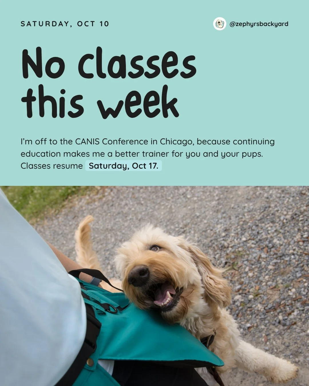 No classes this Saturday, October 10th 🐾

I'm heading to Chicago for the CANIS Conference and I'm so excited! One of my favorite things about dog training is that there's always more to learn. New research, new ideas, new ways to understand our dogs