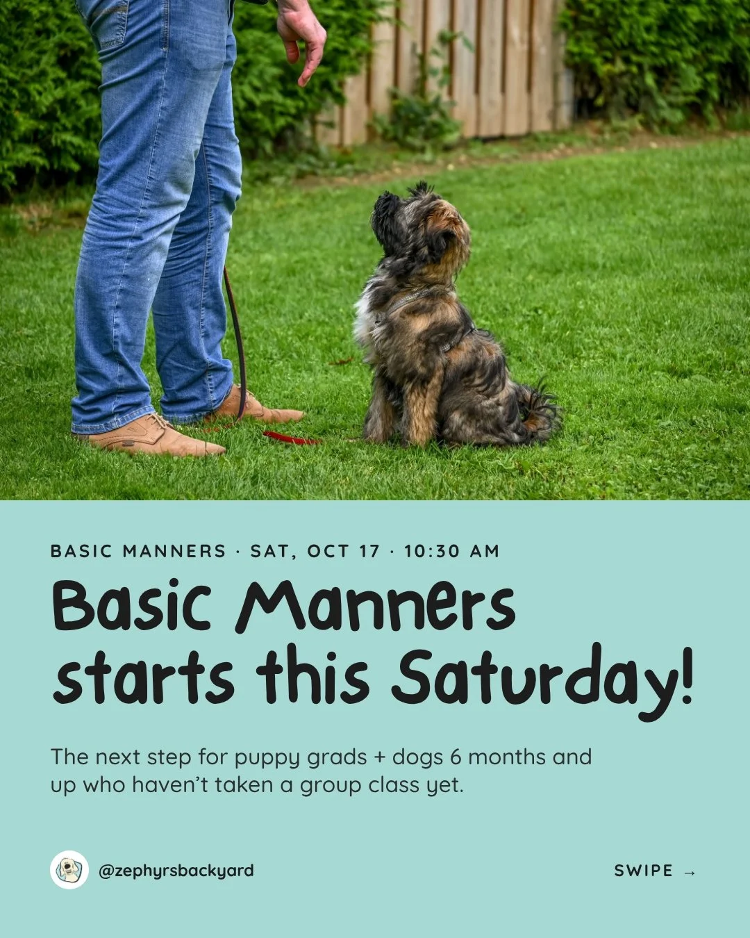 Basic Manners starts THIS Saturday! 🎓
It's the next step for Puppy Preschool grads, and a great starting point for dogs 6 months and up who haven't taken a group class yet.
Over six weeks we'll work on focus, impulse control, recall, and loose-leash
