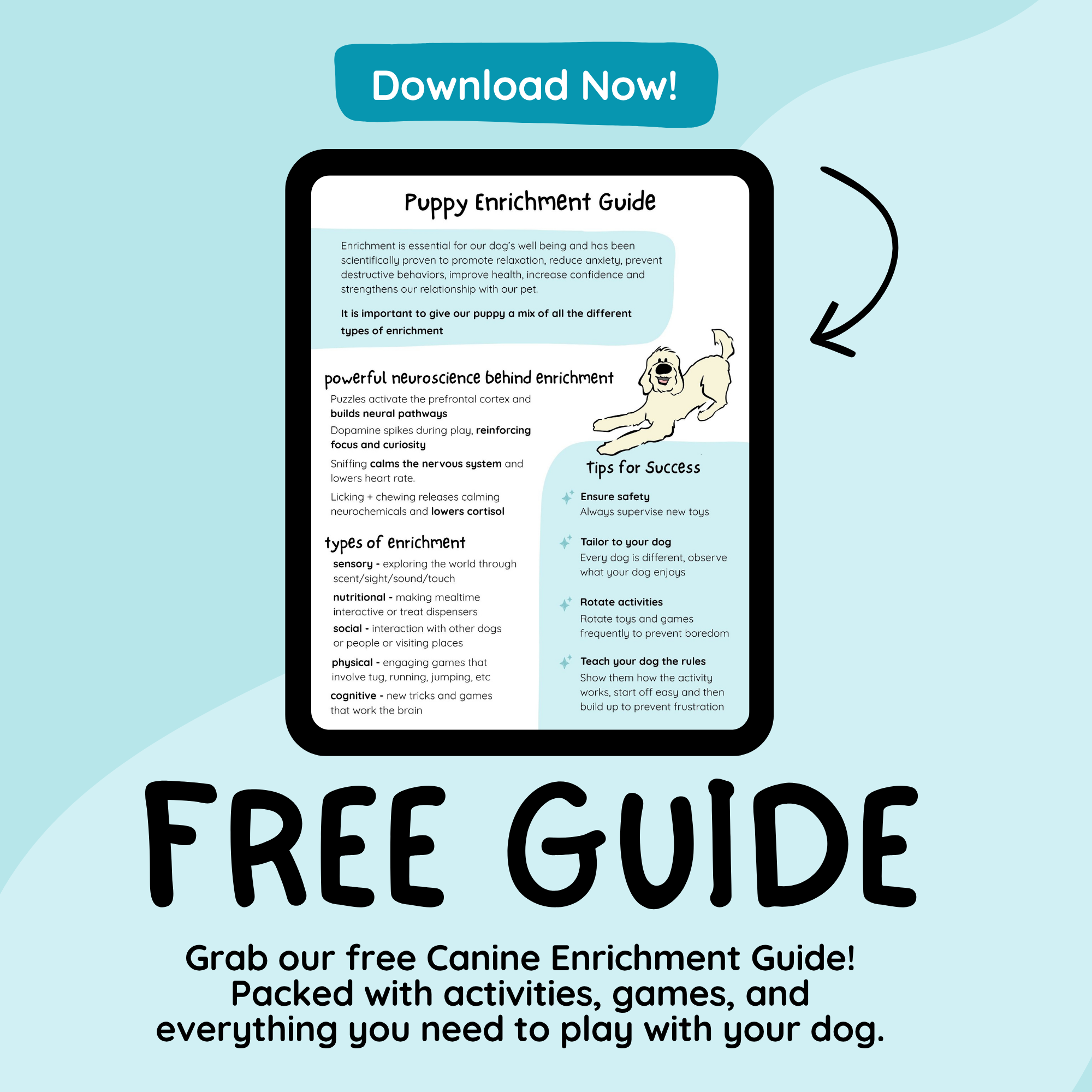 FREE Canine Enrichment Guide