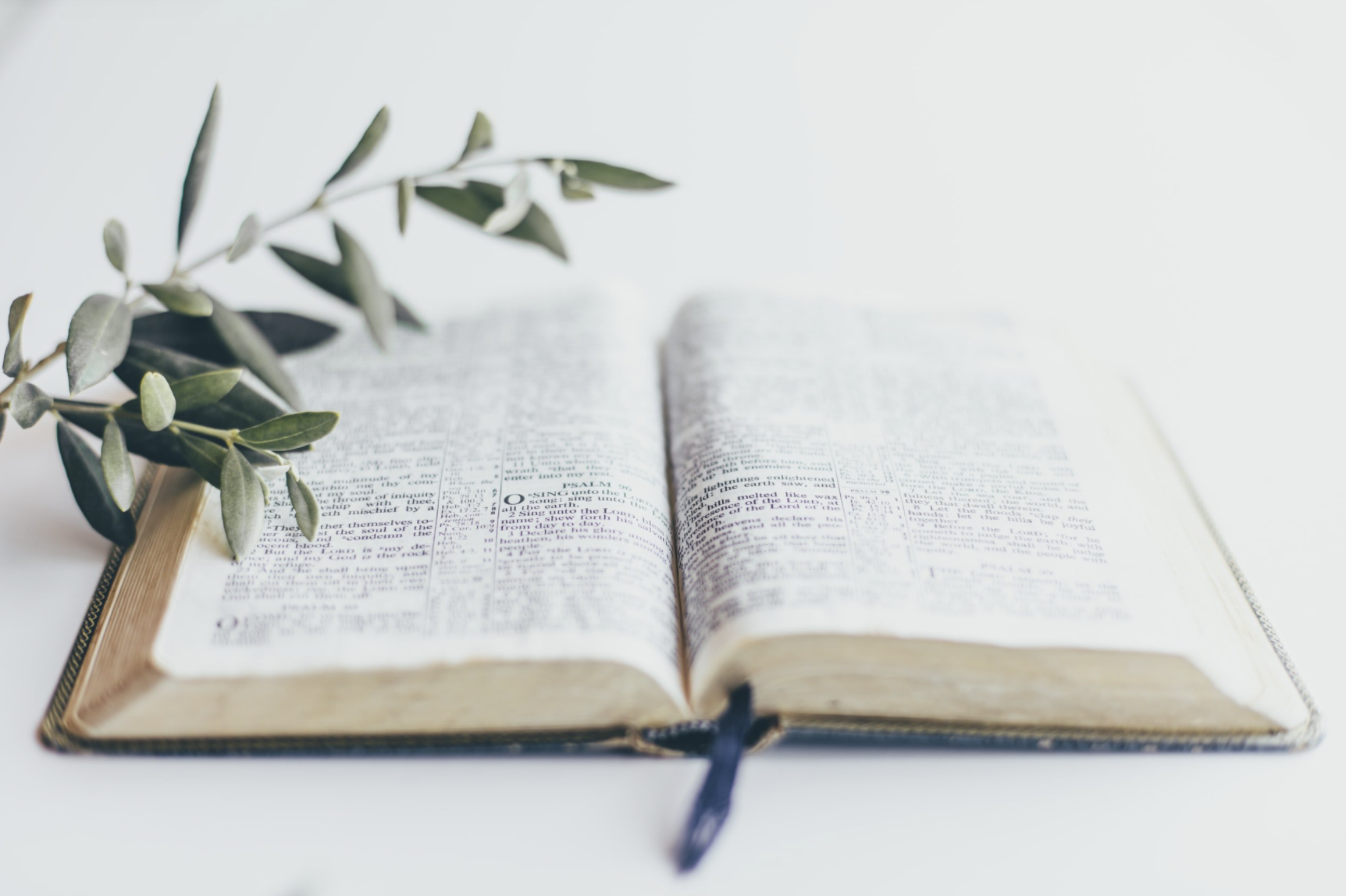 Just a word before we go...Thirty-second Sunday in Ordinary Time...November 7. 2021