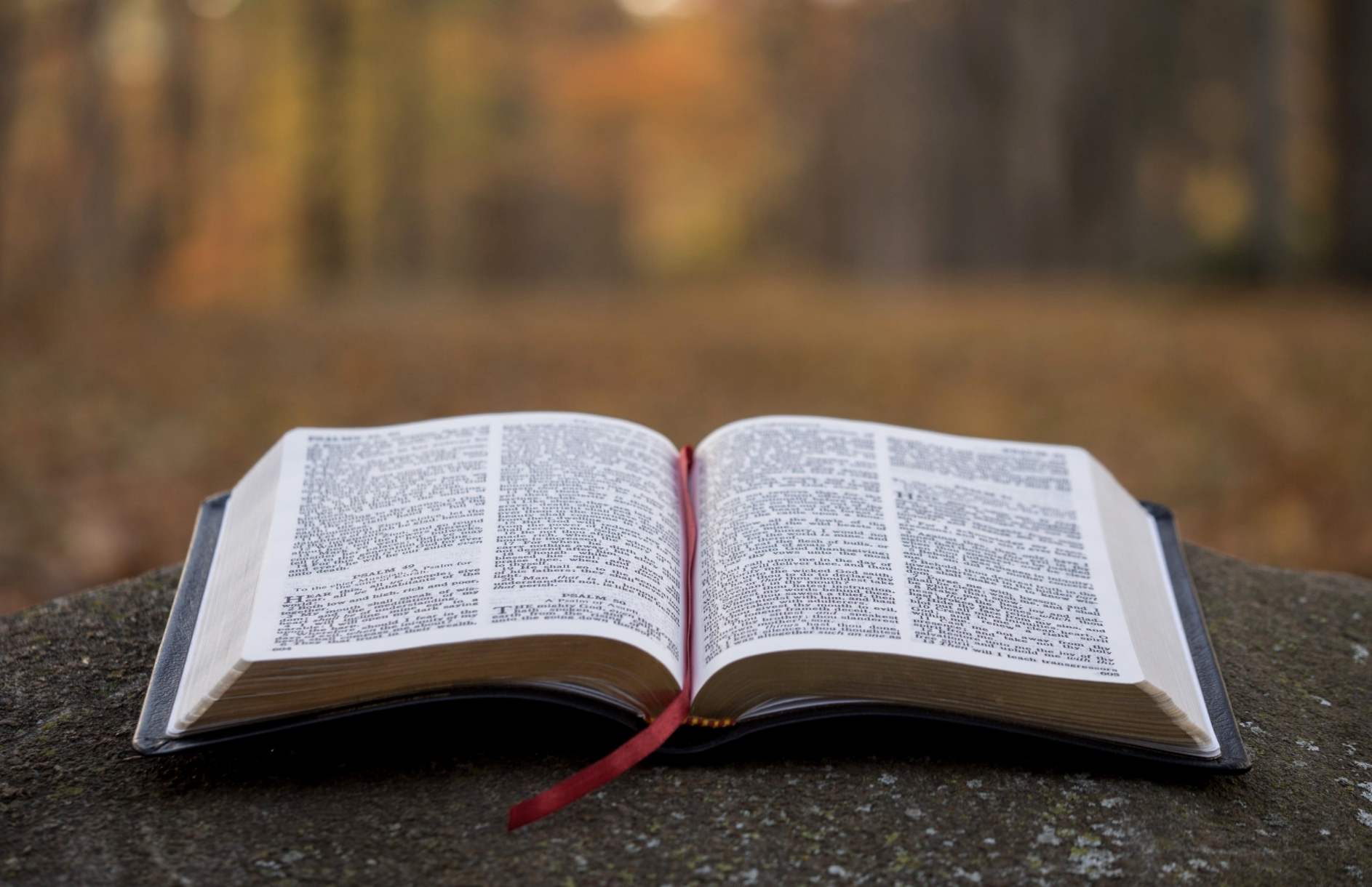 Just a word before we go...First Sunday of Advent...November 28, 2021