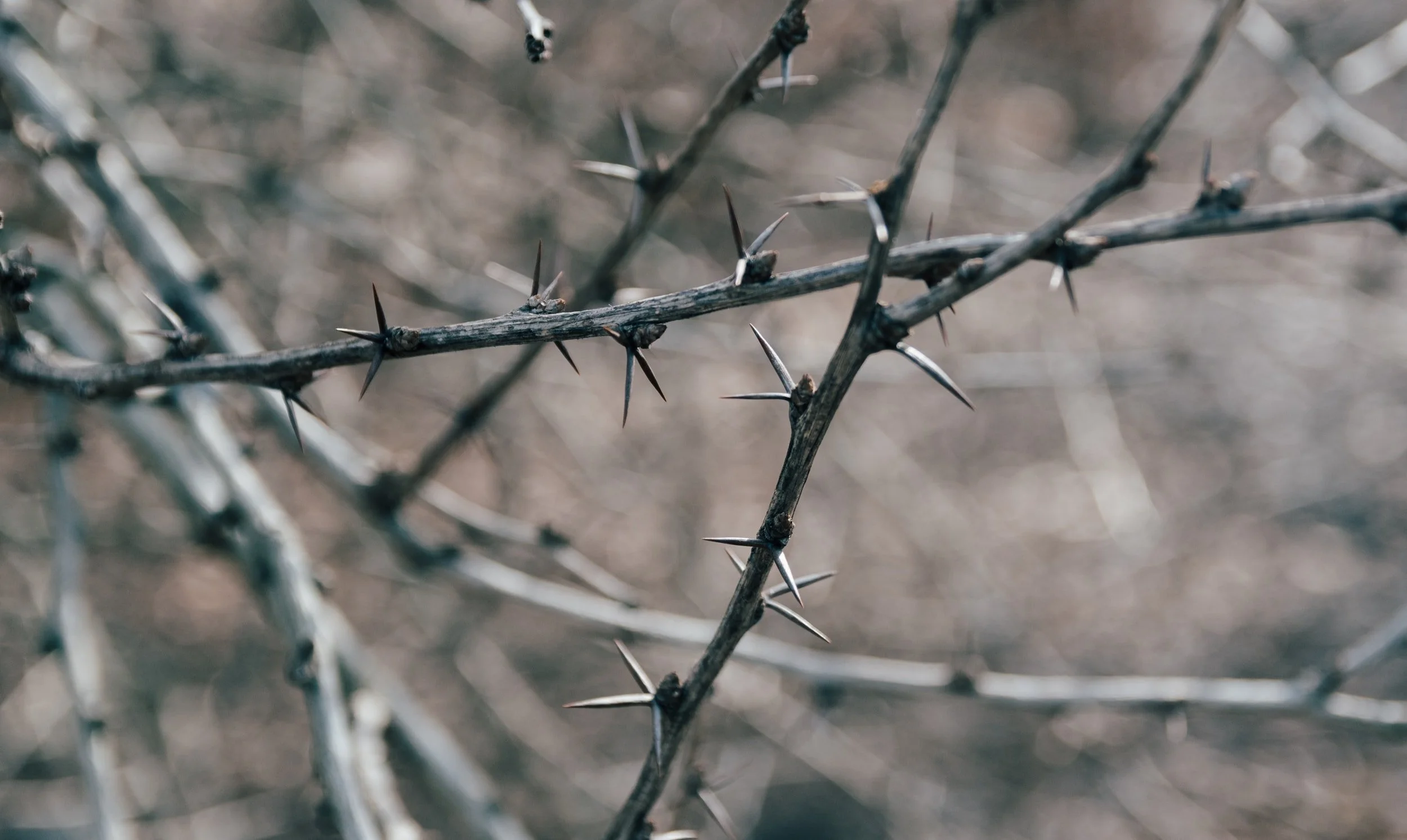 Just a word before we go...Eighth Sunday in Ordinary Time...February 27, 2022