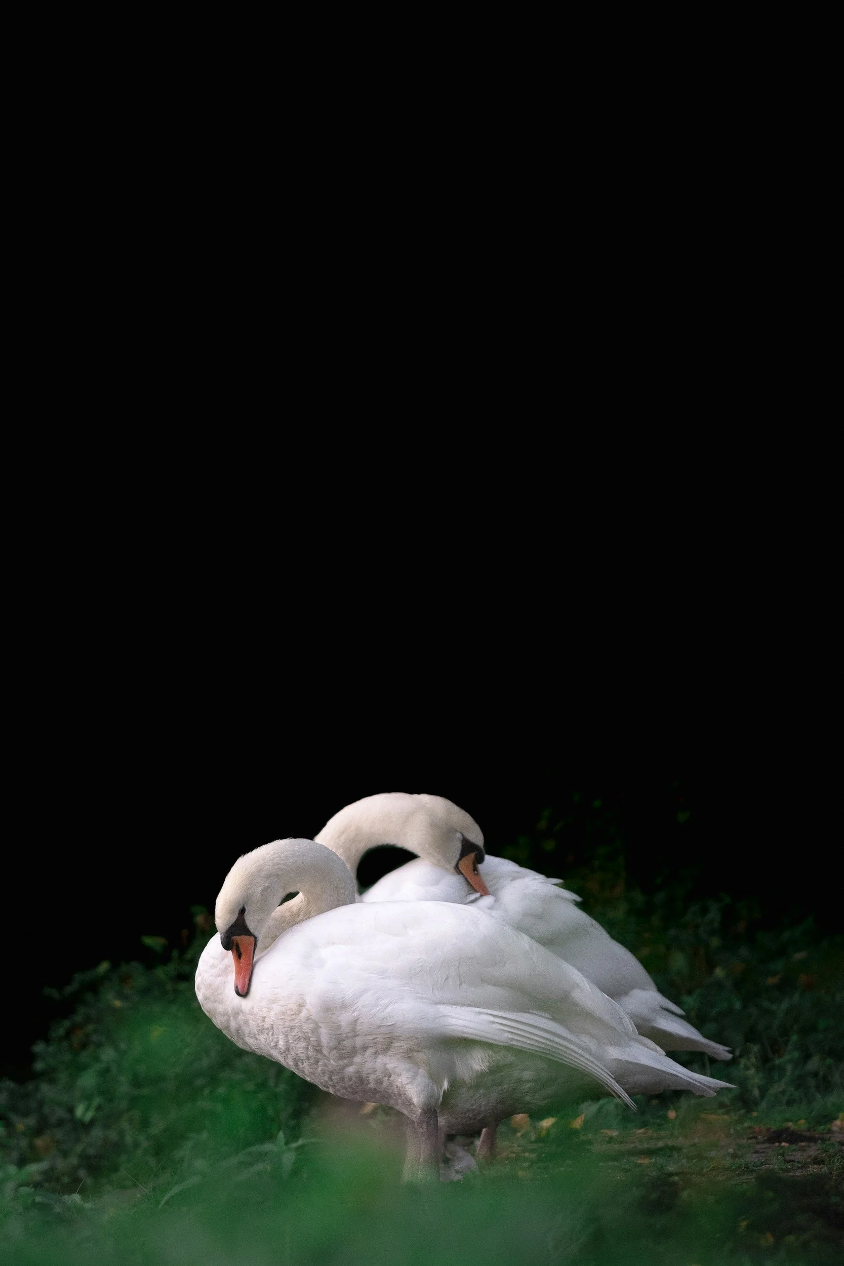 Just a word before we go...Fourth Sunday in Ordinary Time...February 1, 2026&nbsp;&nbsp;