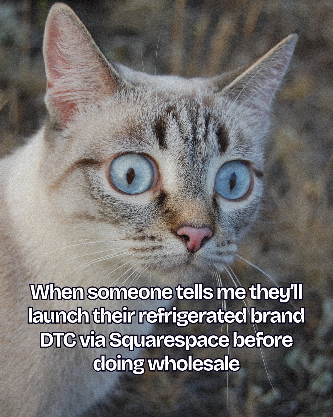 Made some friyay memes for you 😘

(I hate that the last one is true, seriously).