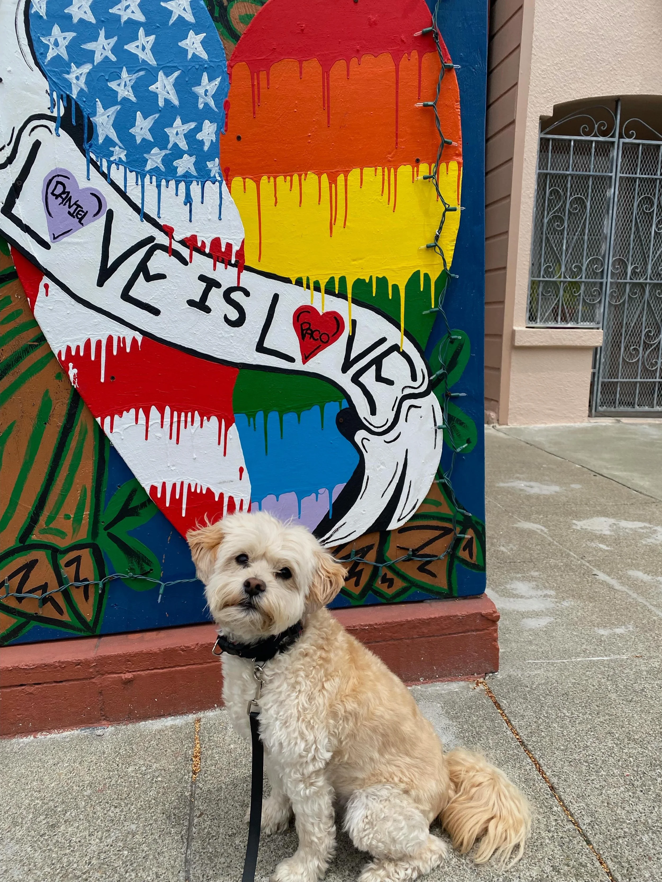 Love is love is love is love&nbsp;🌈🏳️&zwj;🌈🌈🏳️&zwj;🌈🌈🏳️&zwj;🌈🌈

This fierce ally (and the entire FBW team!) is a big HELL YES to supporting the queer community and celebrating pride - both this month, and year round.

So Happy Pride! I see 