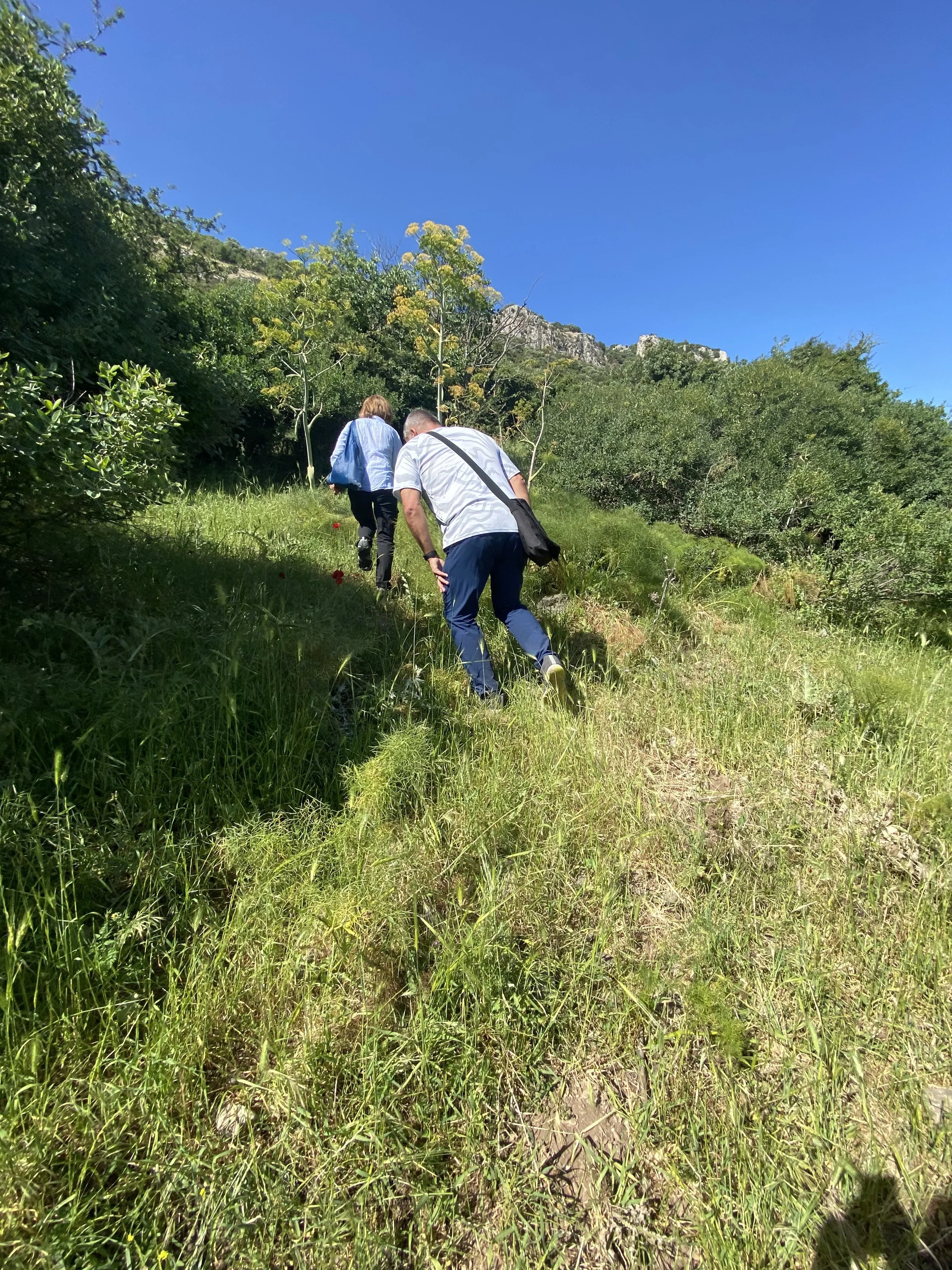 The climb is do-able, but steep