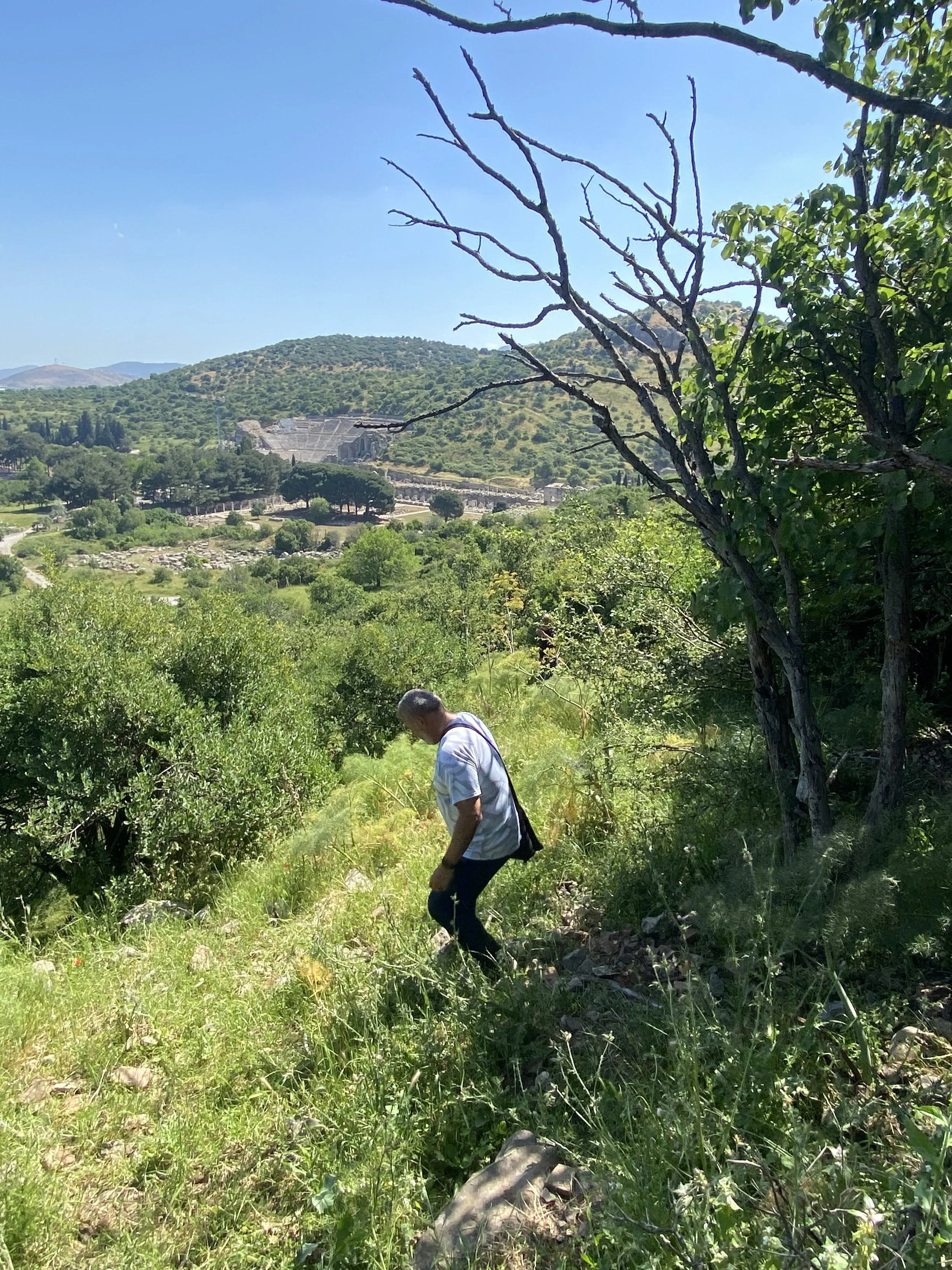 This photo is from 2021, in 2023 the path was better, cleared