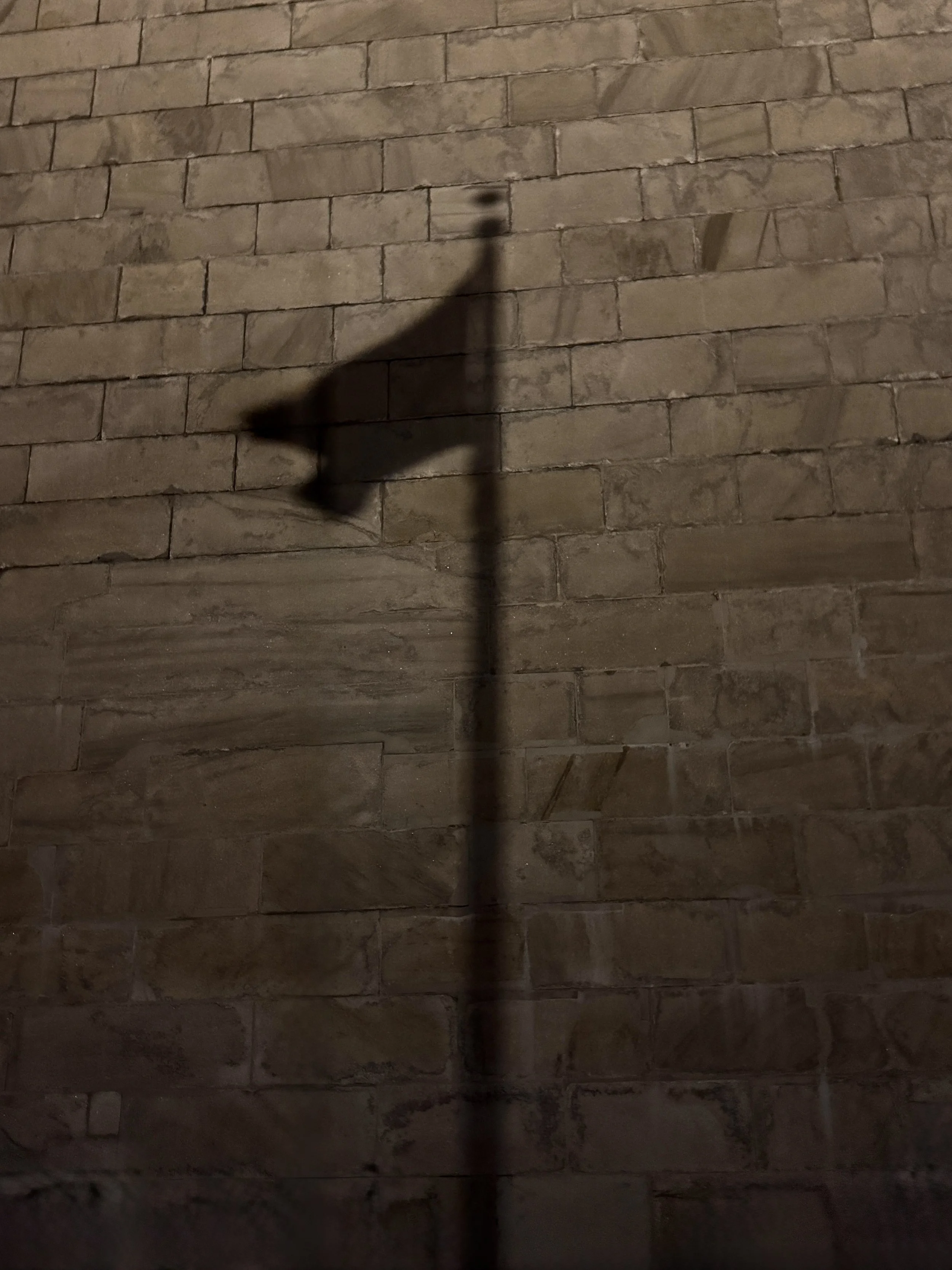Flag Shadow on Washington Memorial